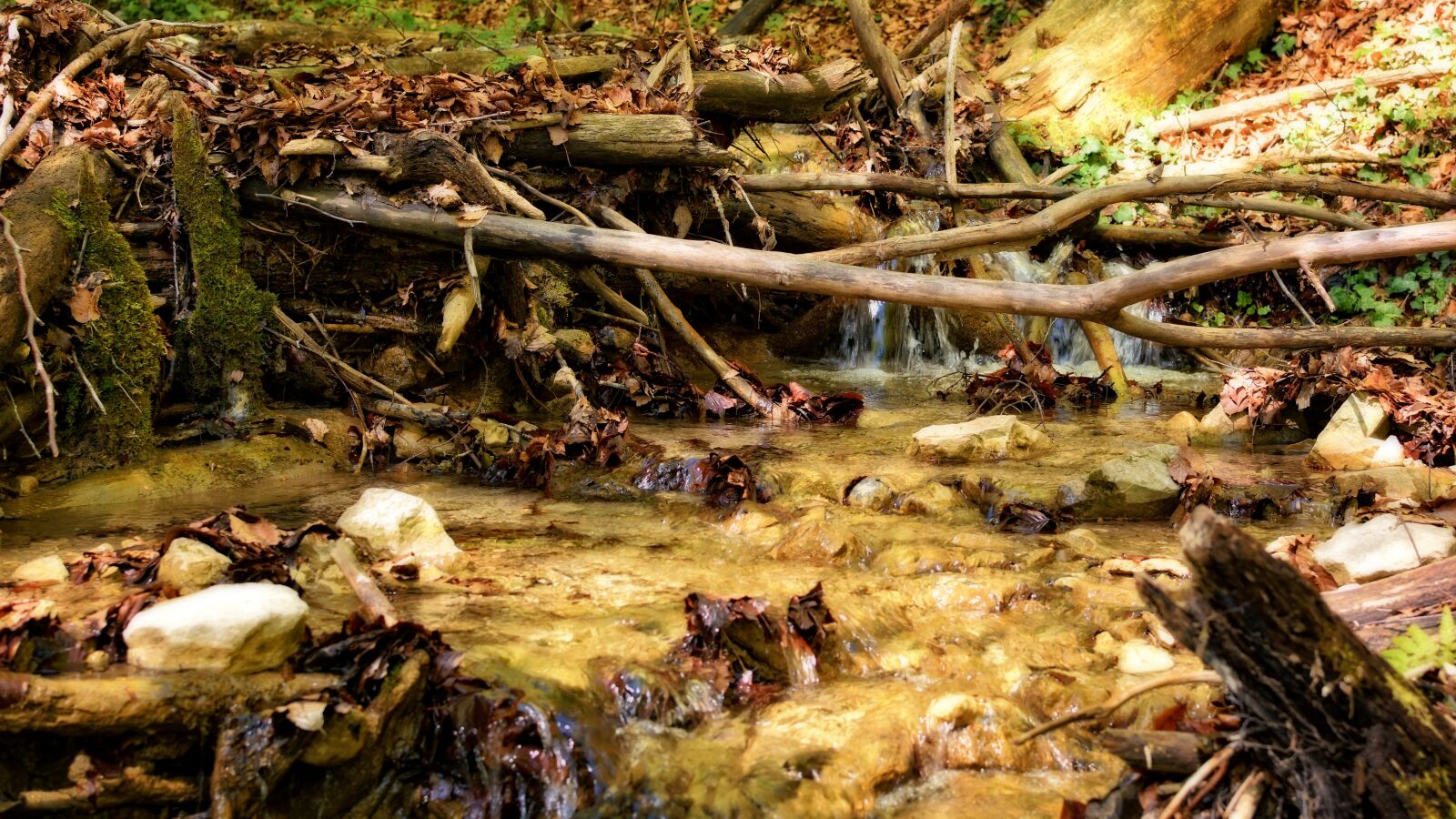 Nikon D7100 sample photo. Riverbed, bach, branches photography