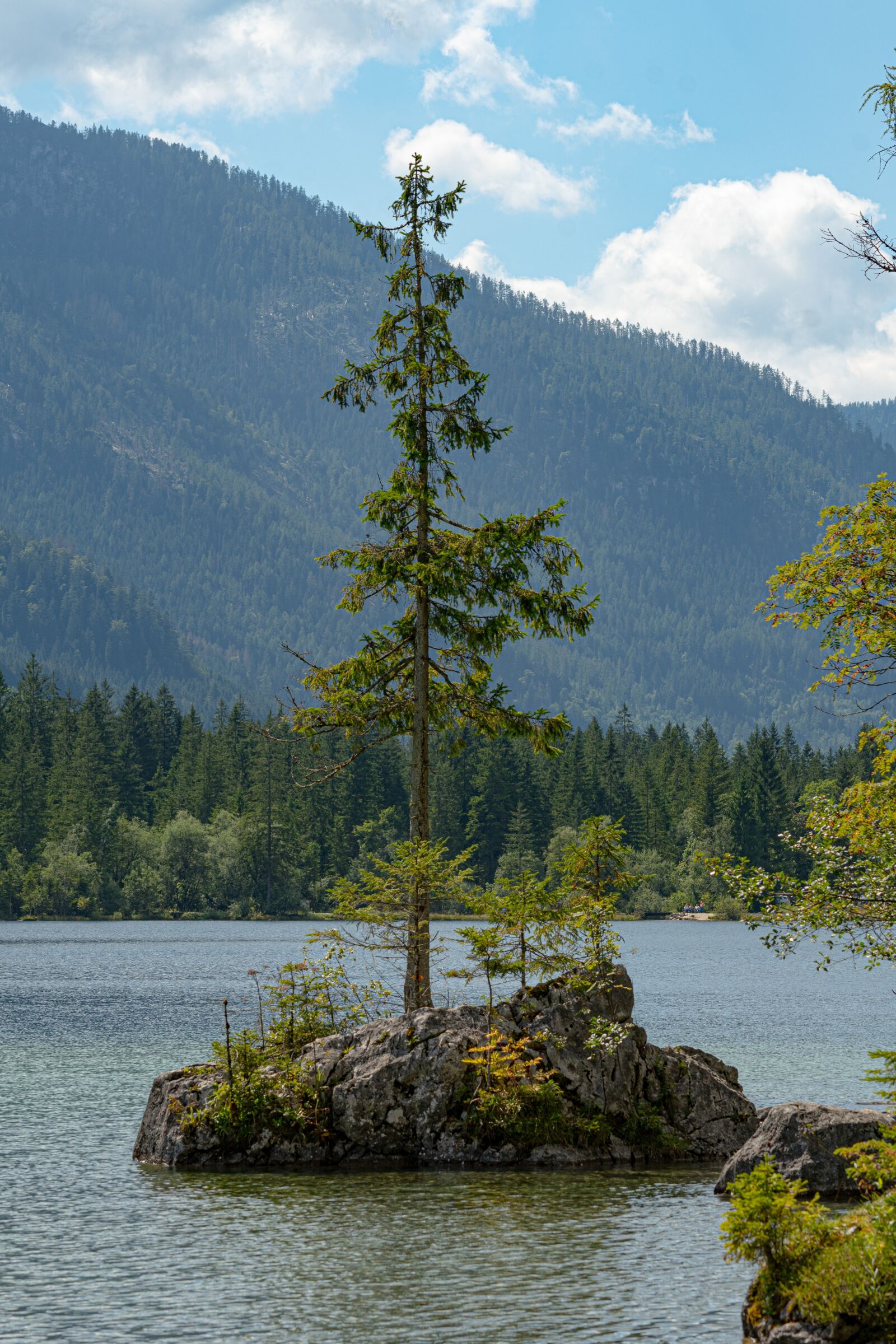 Nikon D500 sample photo. Hintersee, alpine, mountains photography