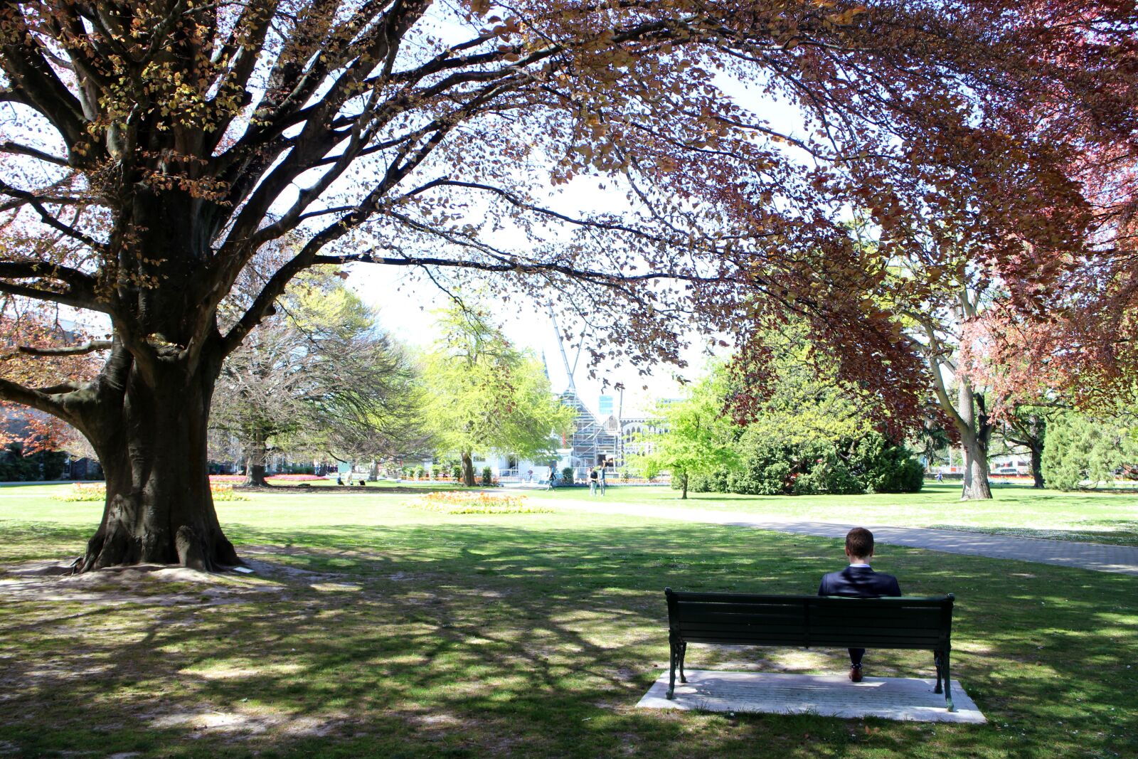 Canon EOS M2 sample photo. Trees, park benches, figure photography