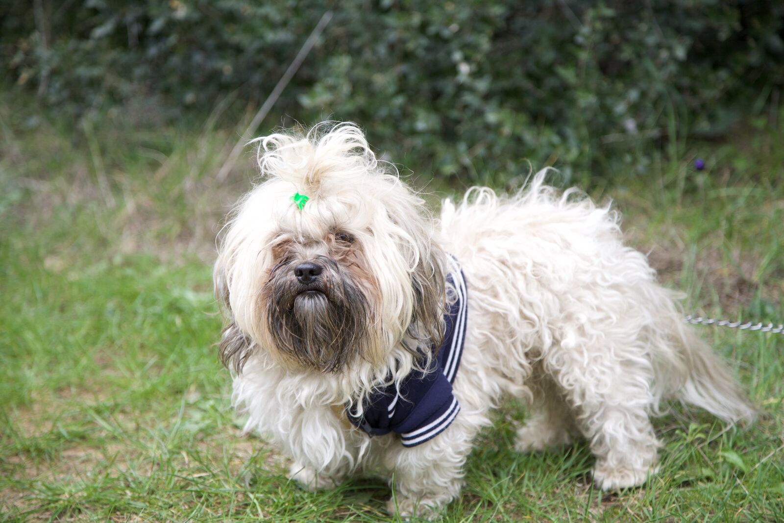 Canon EOS 5D sample photo