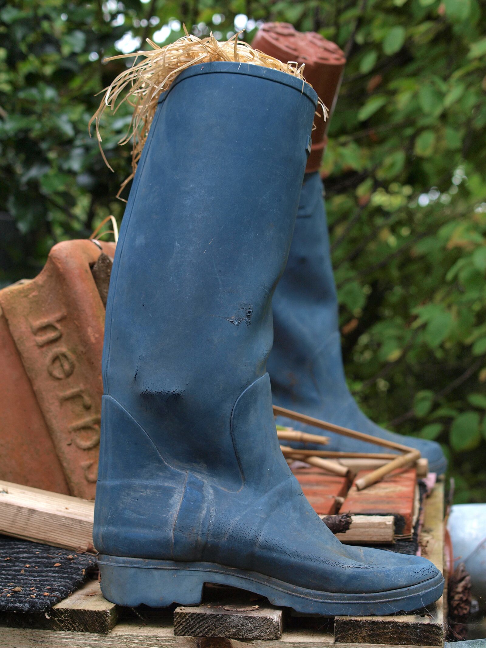 Olympus E-520 (EVOLT E-520) sample photo. Wellies, boot, garden ornament photography
