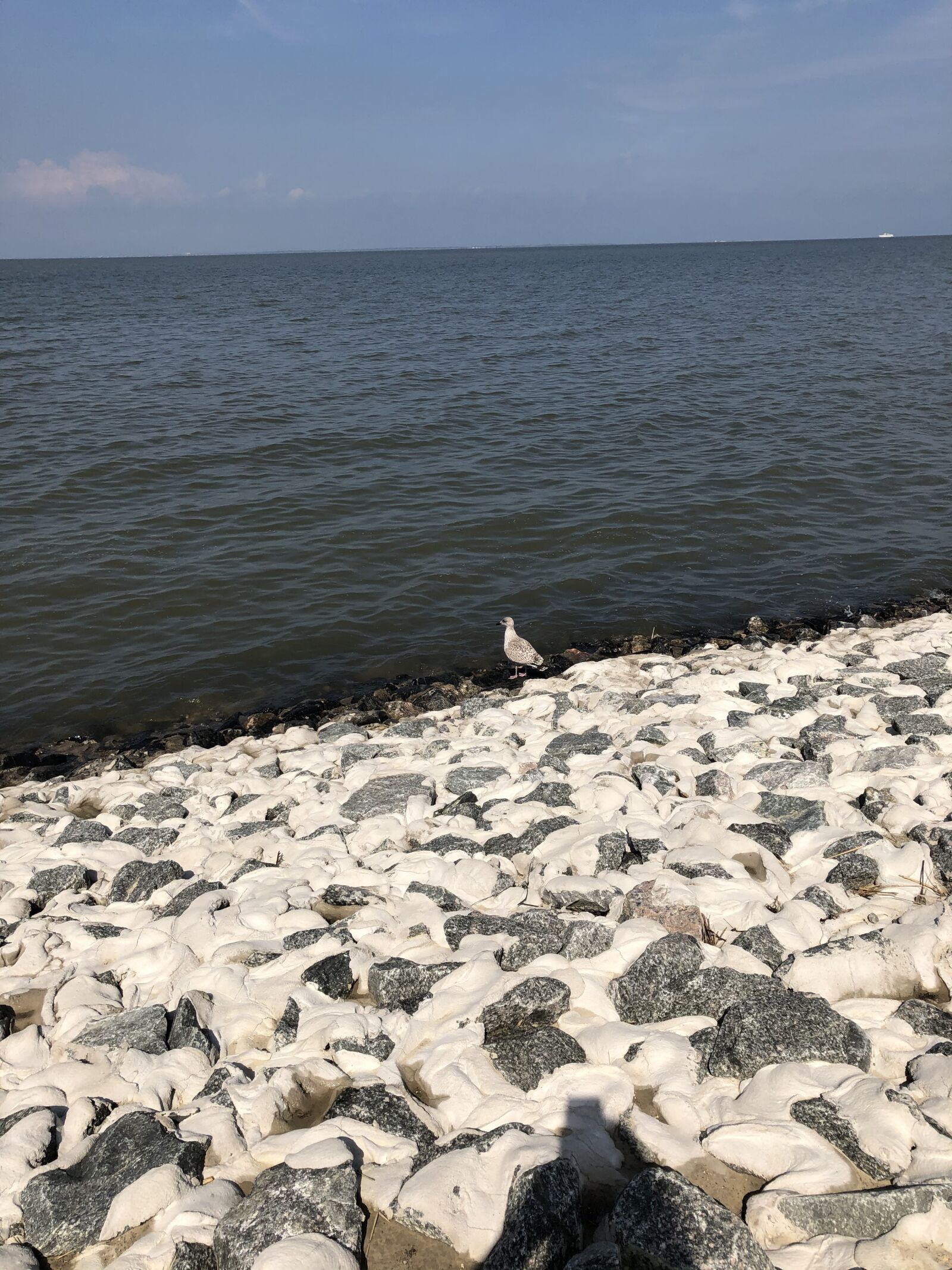 iPhone X back dual camera 4mm f/1.8 sample photo. North sea, norddeich, beach photography