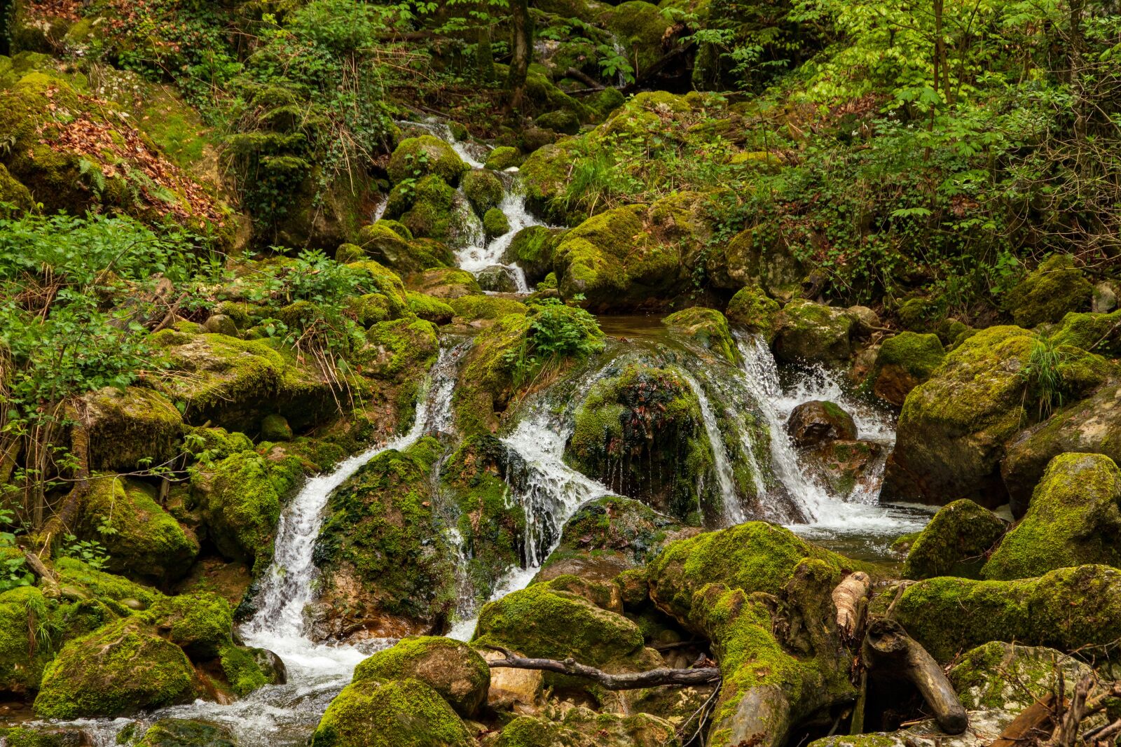 Canon EOS 6D Mark II sample photo. Waterfall, mountain stream, green photography