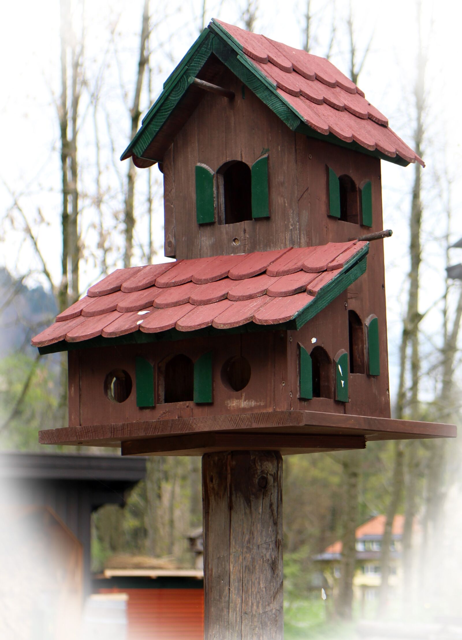 Canon EOS M sample photo. Aviary, bird feeder, bird photography