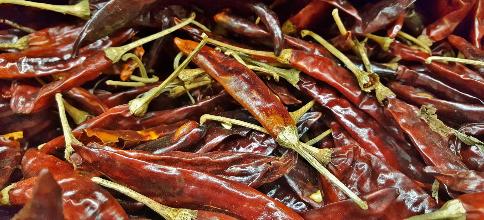 Samsung Galaxy Note5 sample photo. Arbol, tree chili, chile photography