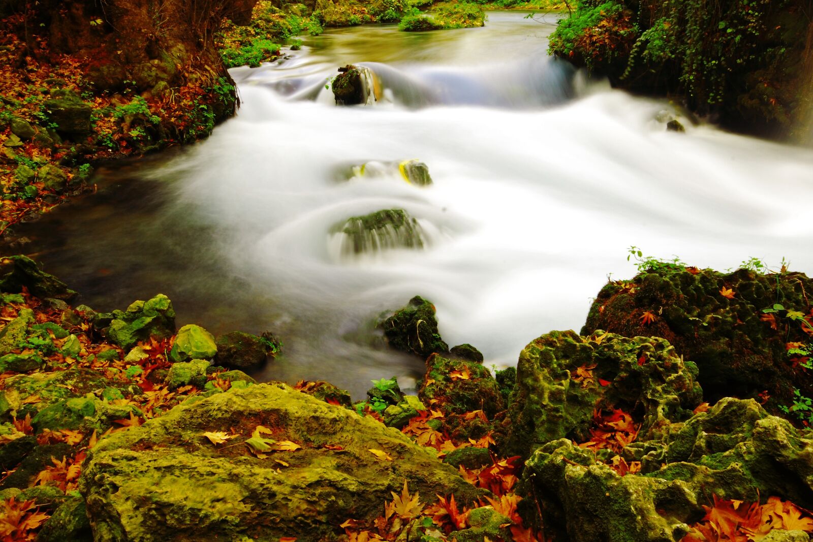 Canon EOS 40D sample photo. Nature, long exposure, green photography