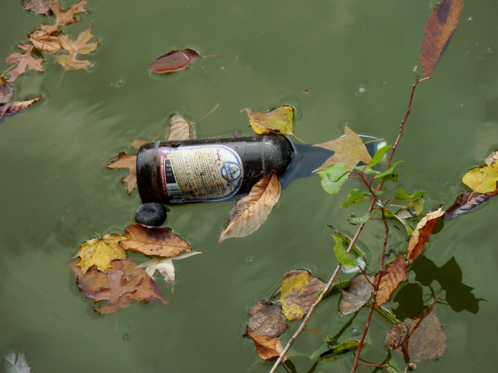 Panasonic DMC-TZ7 sample photo. Environment, pollution, garbage photography