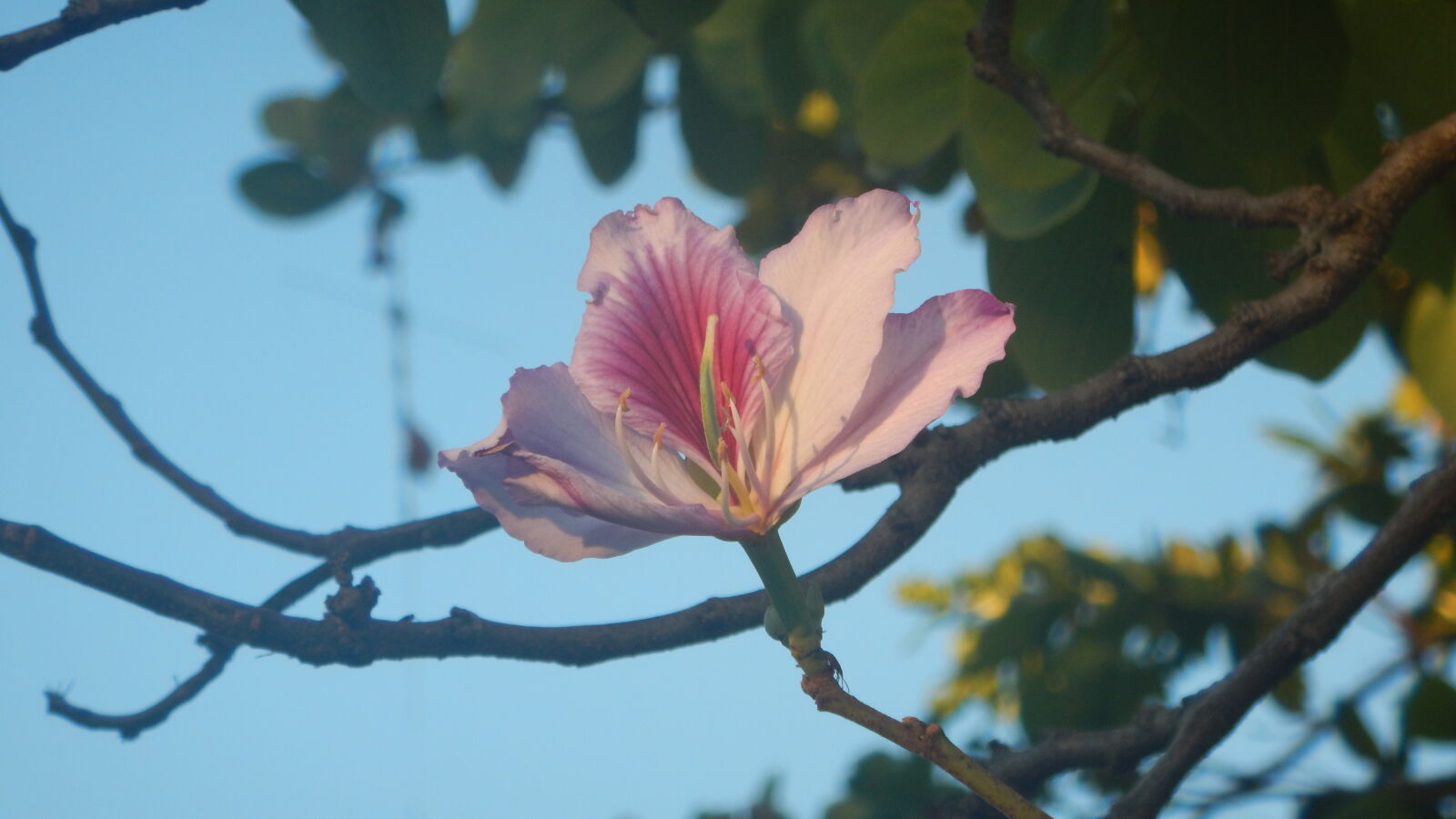 Nikon Coolpix AW120 sample photo