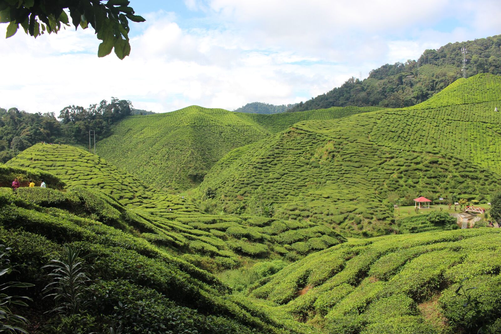 Canon EOS 700D (EOS Rebel T5i / EOS Kiss X7i) sample photo. Mountains, green, hill photography