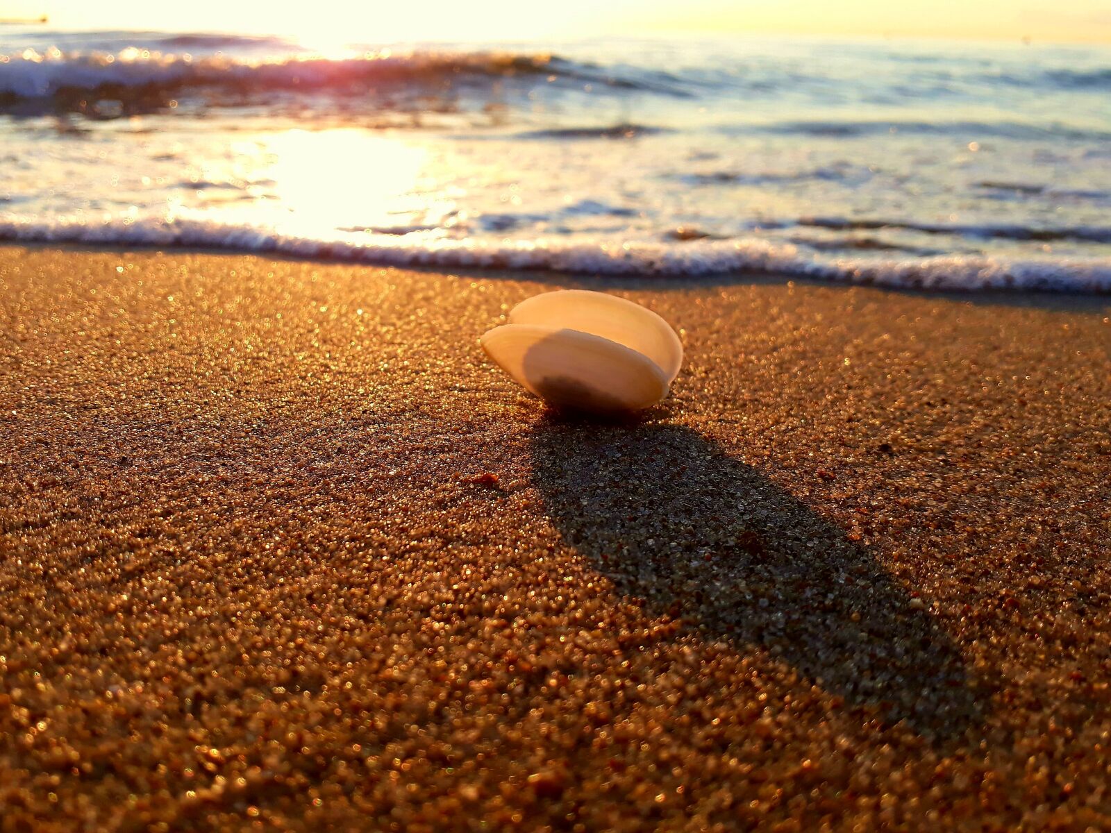 Samsung Galaxy A3(2017) sample photo. Shell, sand, sunset photography