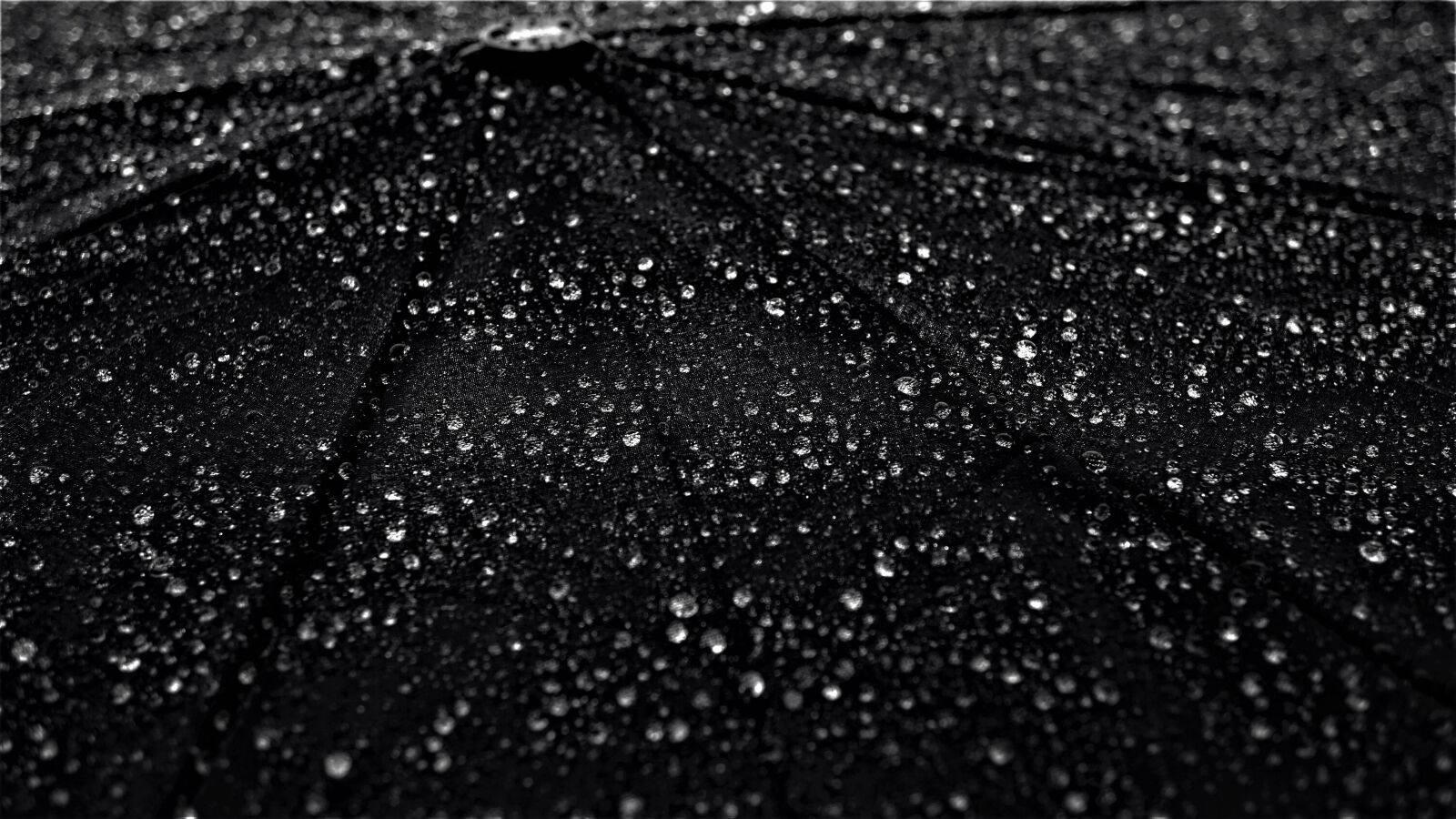 Sony a6000 + Sony E 30mm F3.5 Macro sample photo. Umbrella, background, rain photography