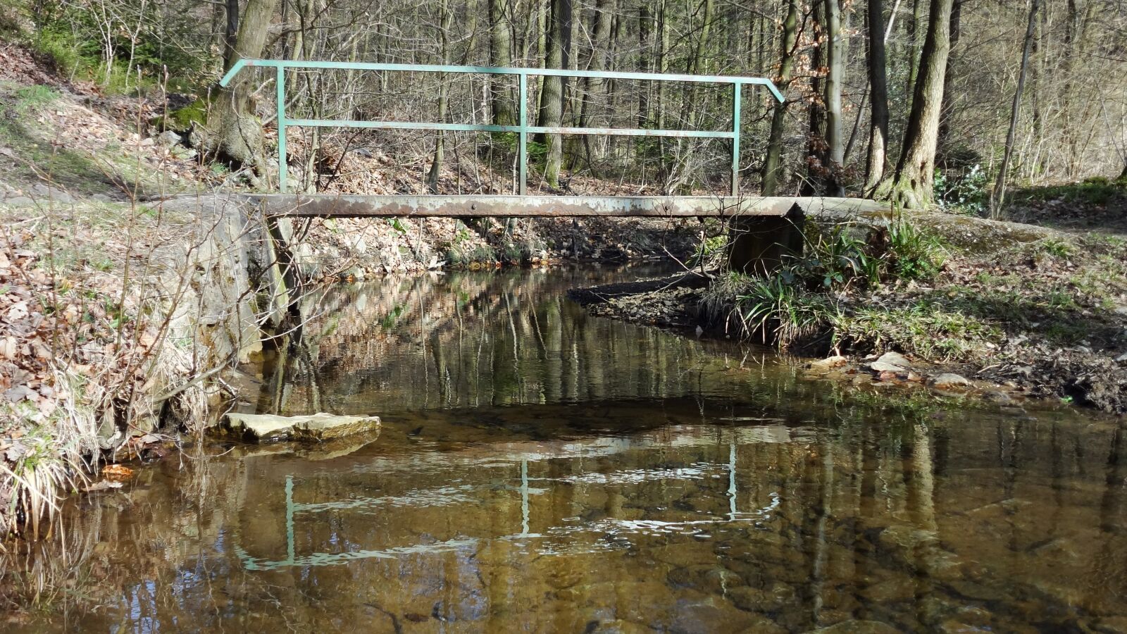 Sony DSC-WX10 sample photo. Bridge, water, mirroring photography