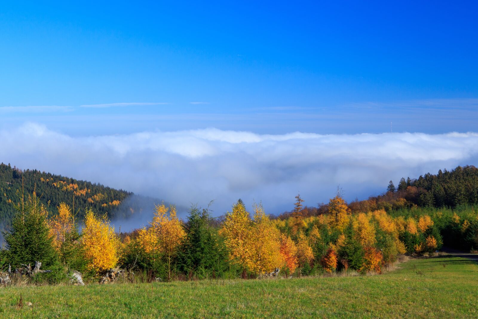 Canon EOS 6D + Canon EF 24-70mm F2.8L USM sample photo. Spreitz head, wittgenstein, mist photography