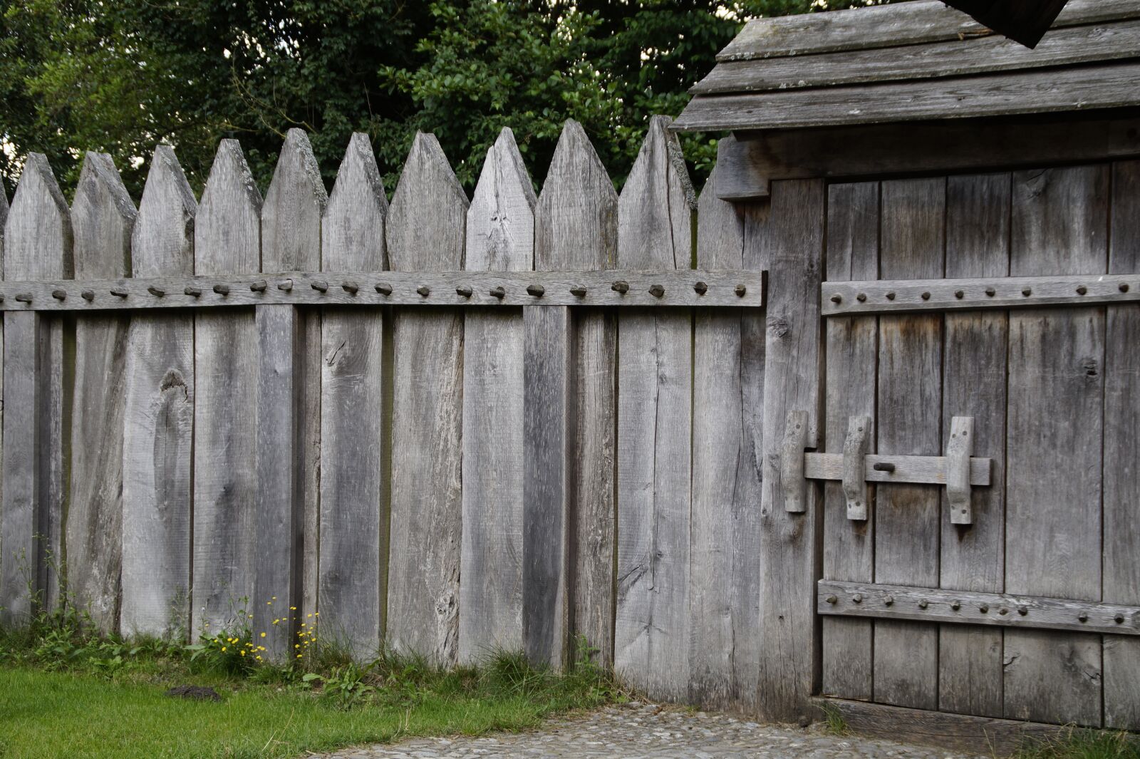 Sony SLT-A58 sample photo. Fence, palisade, door photography