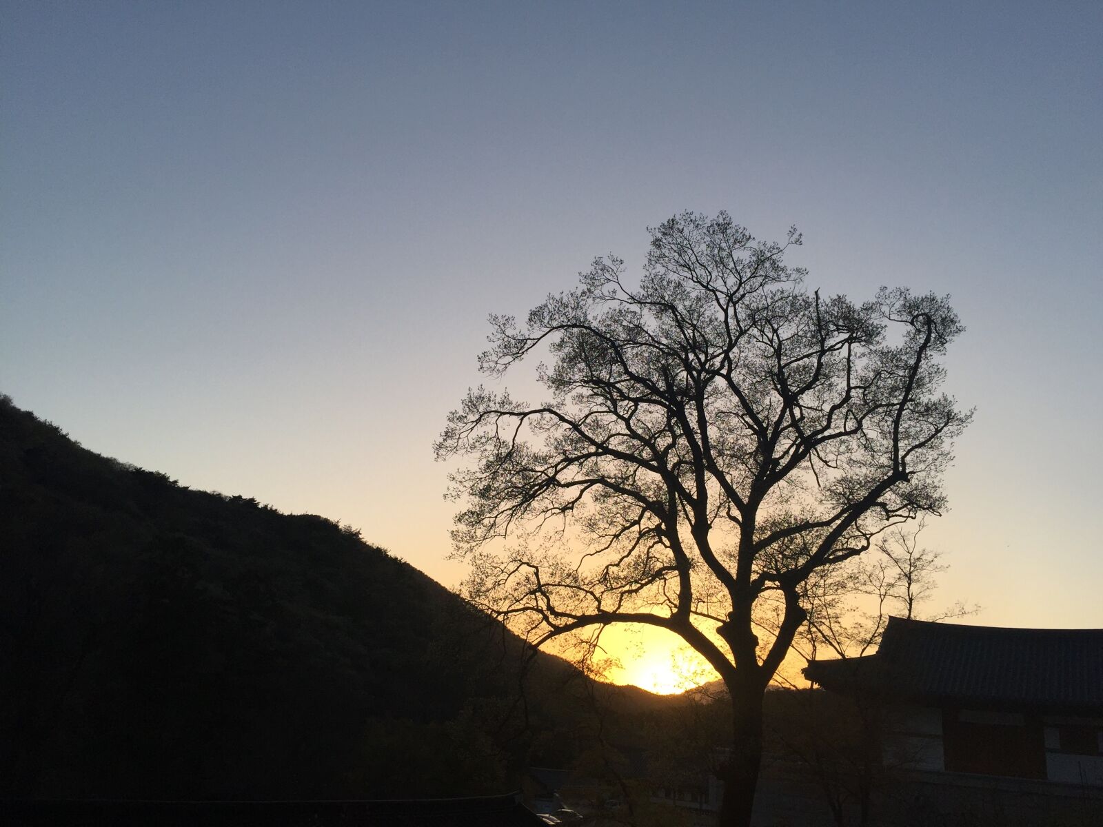 iPhone 6 Plus back camera 4.15mm f/2.2 sample photo. Evening glow, wood, glow photography
