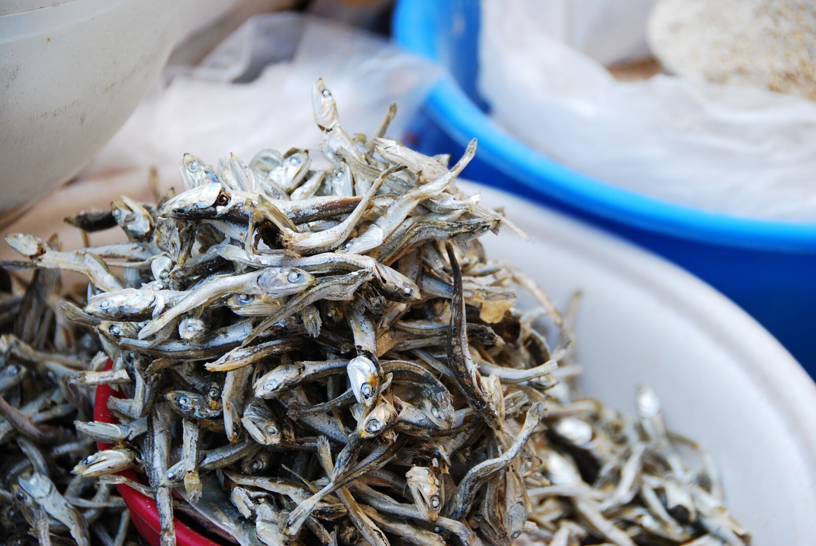 Nikon D80 sample photo. Anchovy, market, basket photography