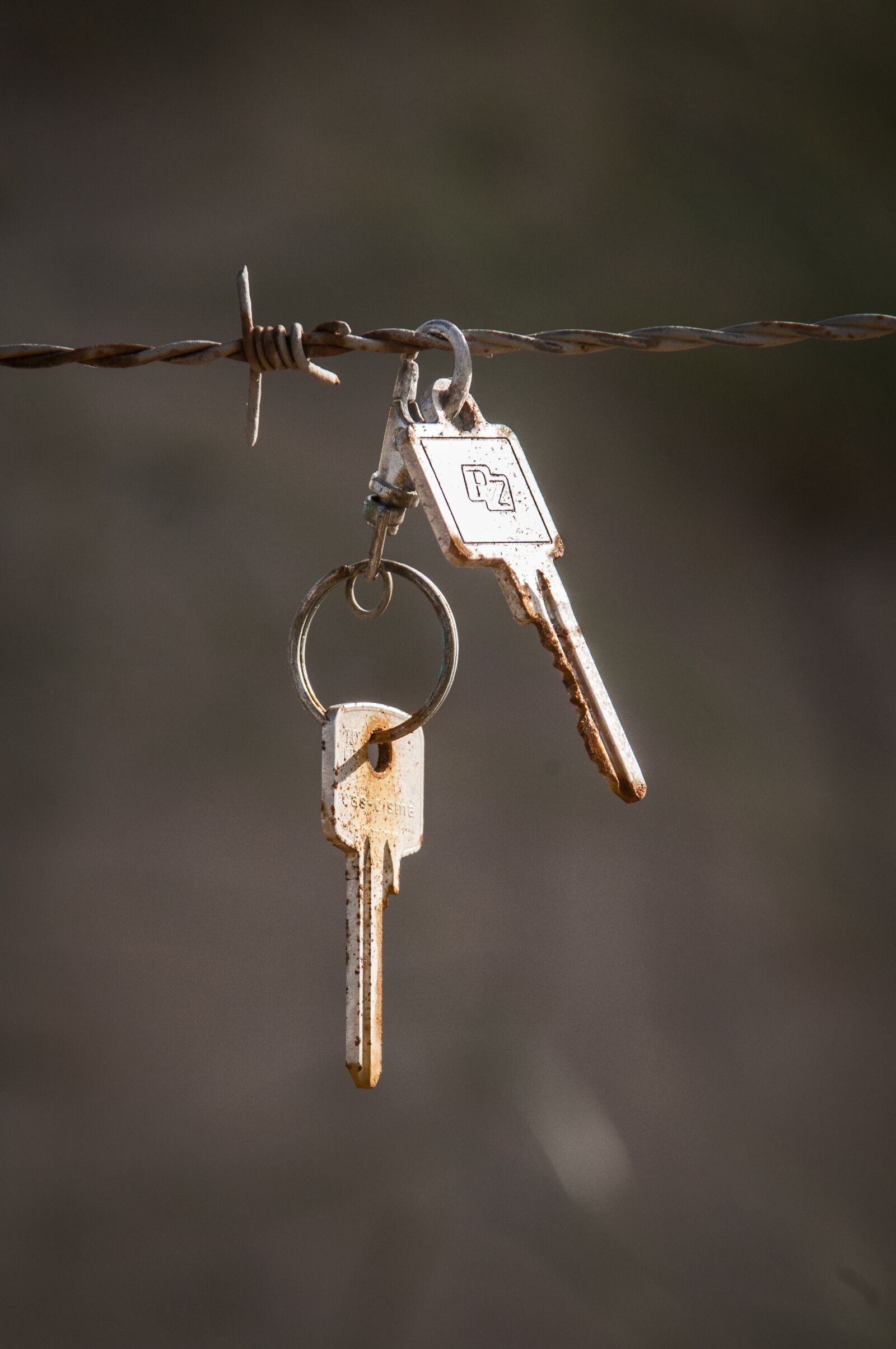 Nikon D300 sample photo. Key, barbed wire, rust photography