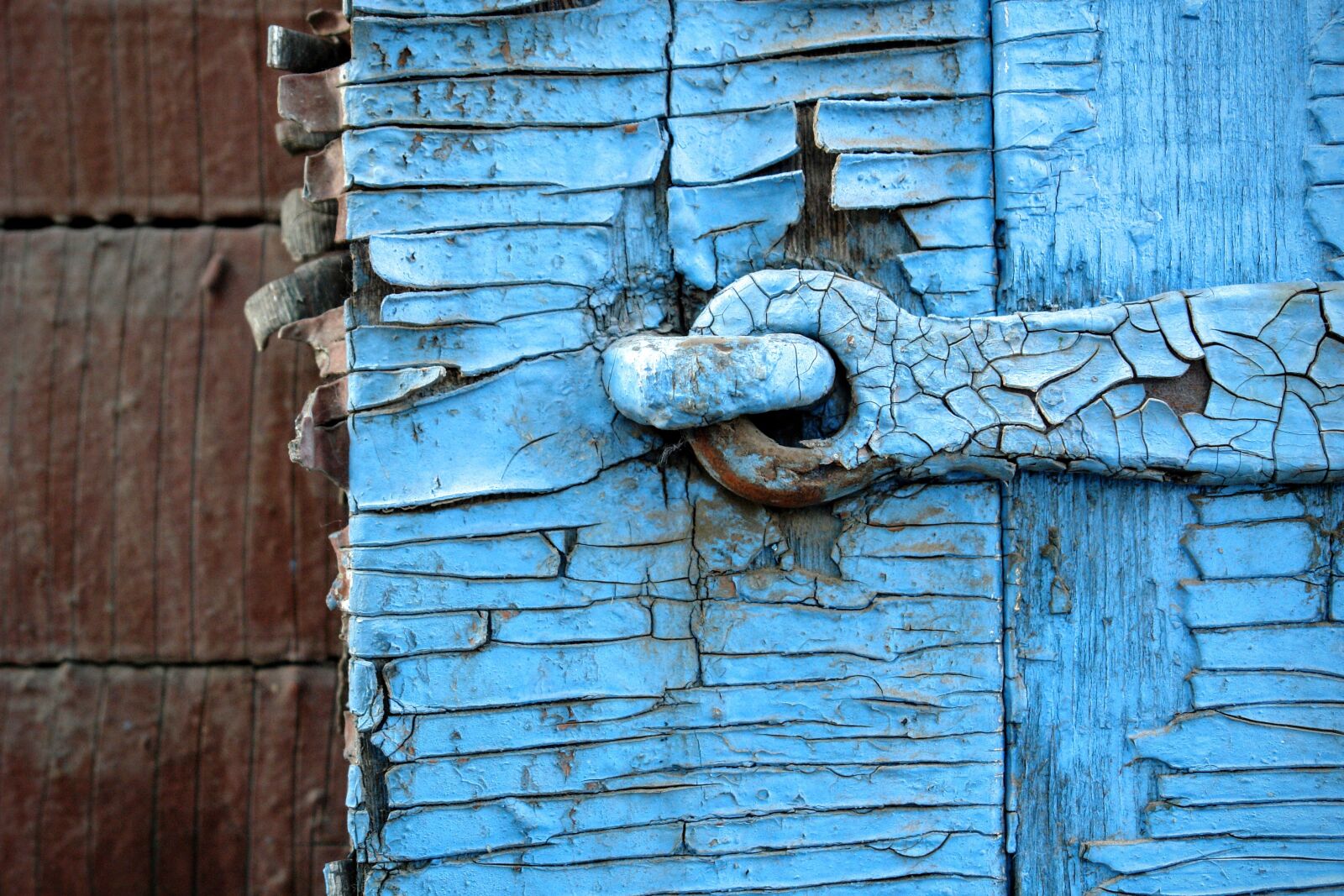 Sony DSC-R1 sample photo. Detail, castle, hinge photography