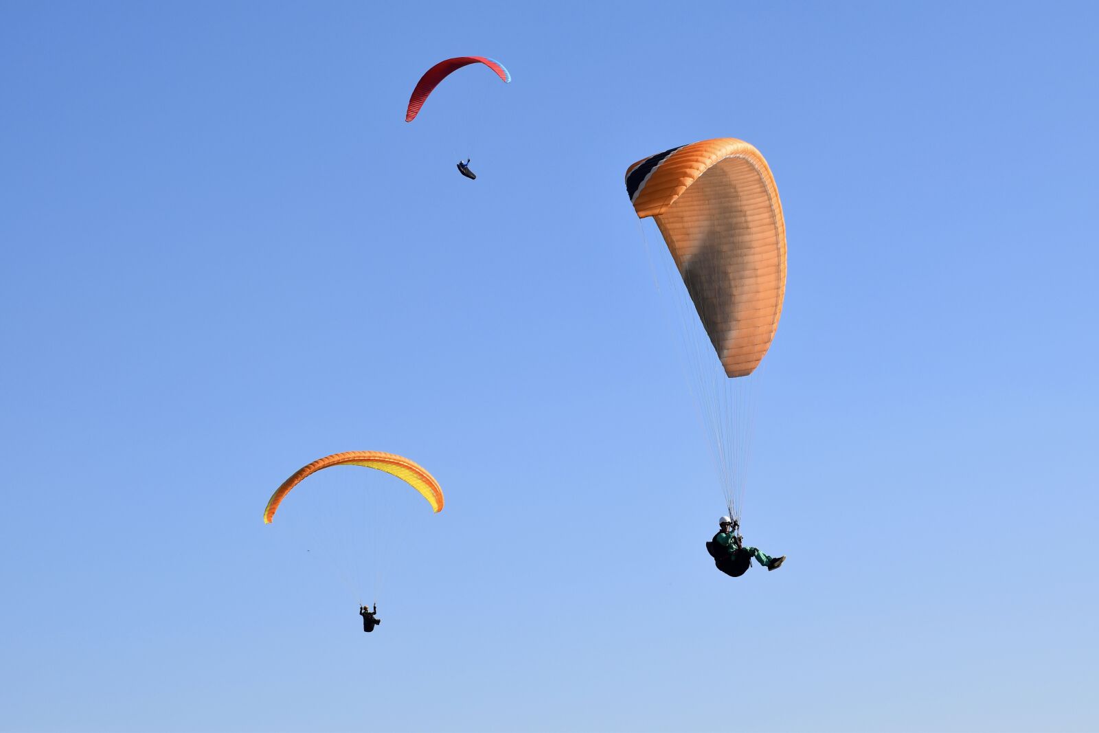 Nikon D5600 sample photo. Paragliding, paraglider, sails of photography