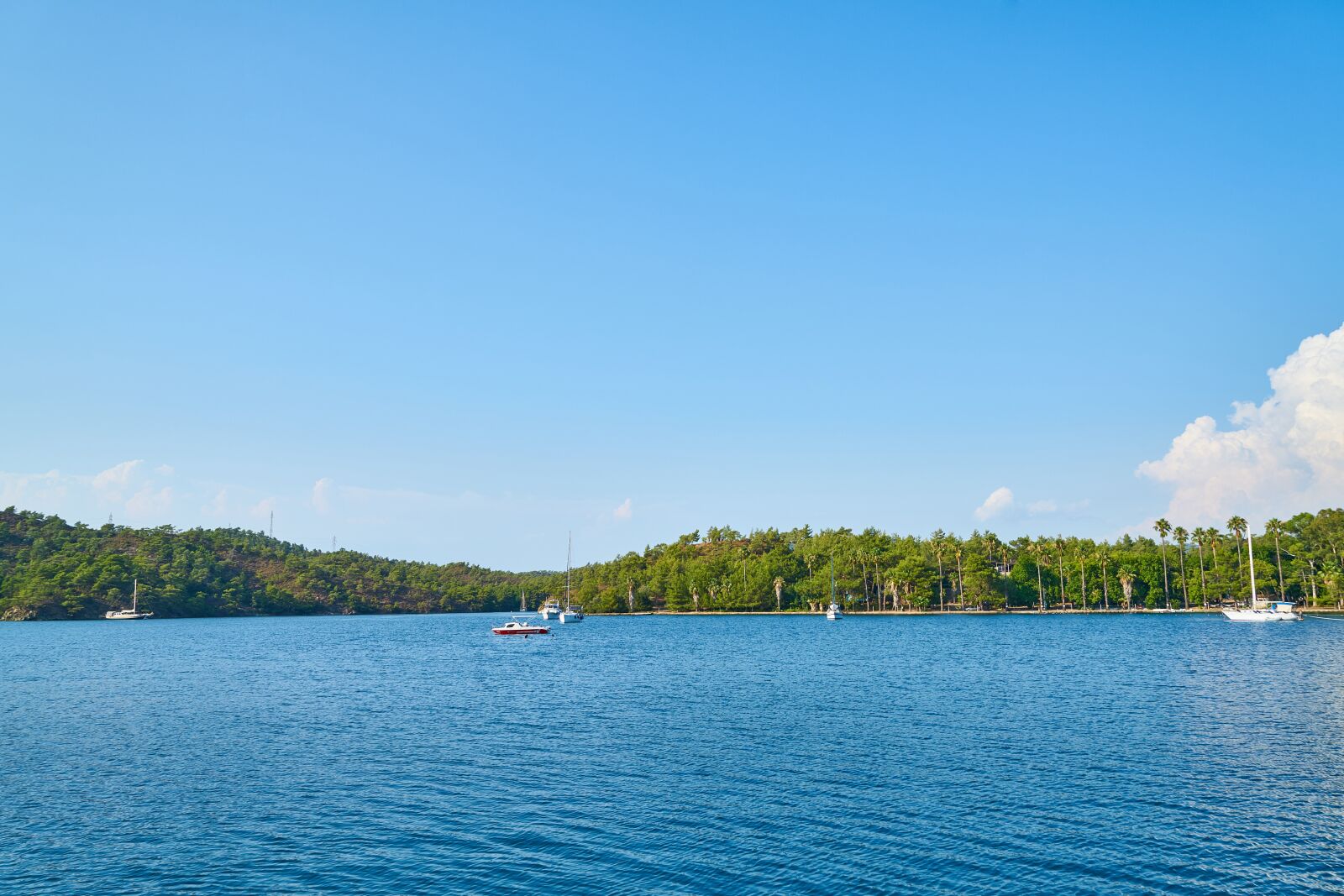 Sony a7R II sample photo. Nature, marine, landscape photography
