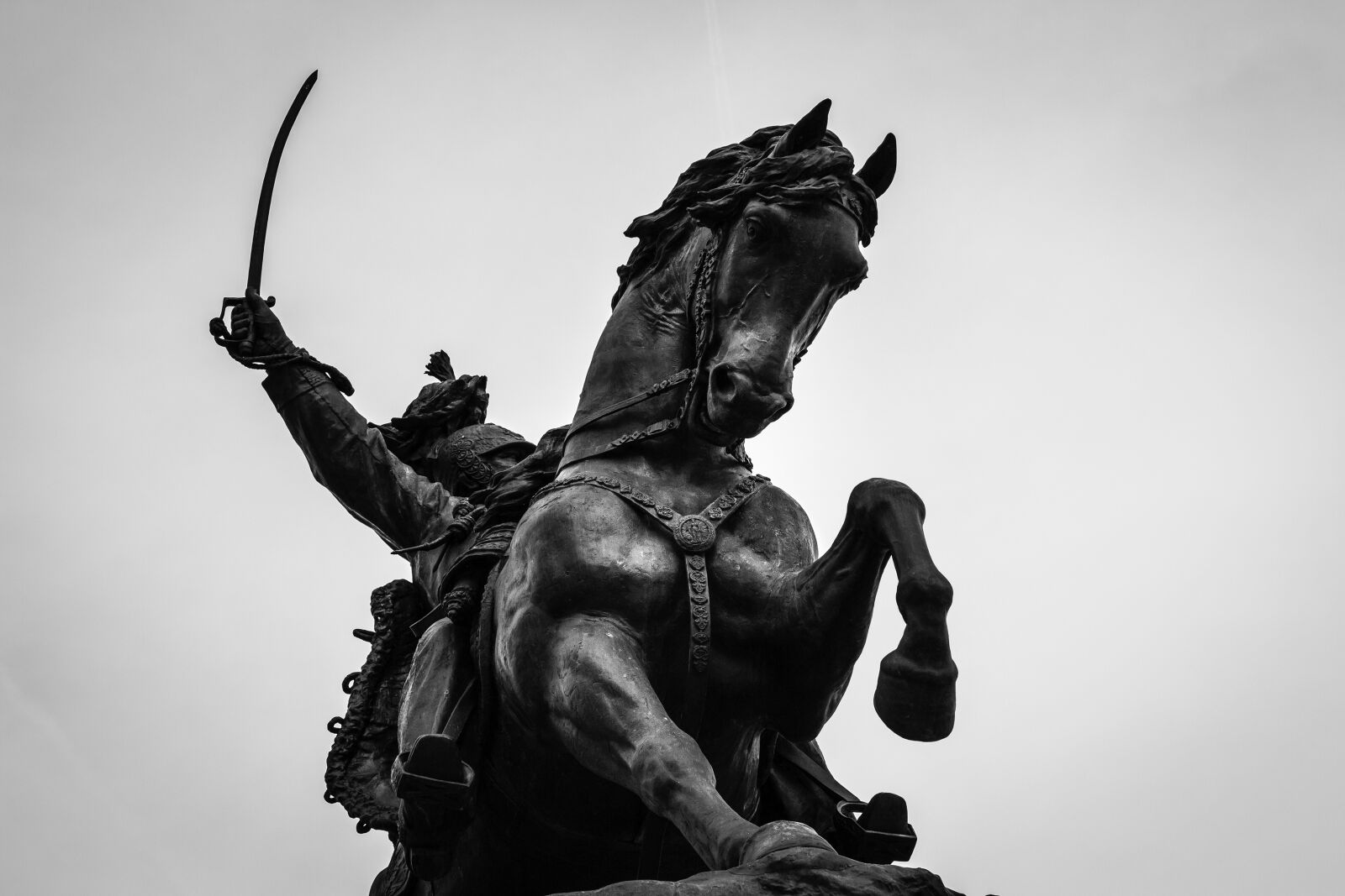 Canon EOS 100D (EOS Rebel SL1 / EOS Kiss X7) + Canon EF 50mm F1.8 II sample photo. Horse, hero, knight photography