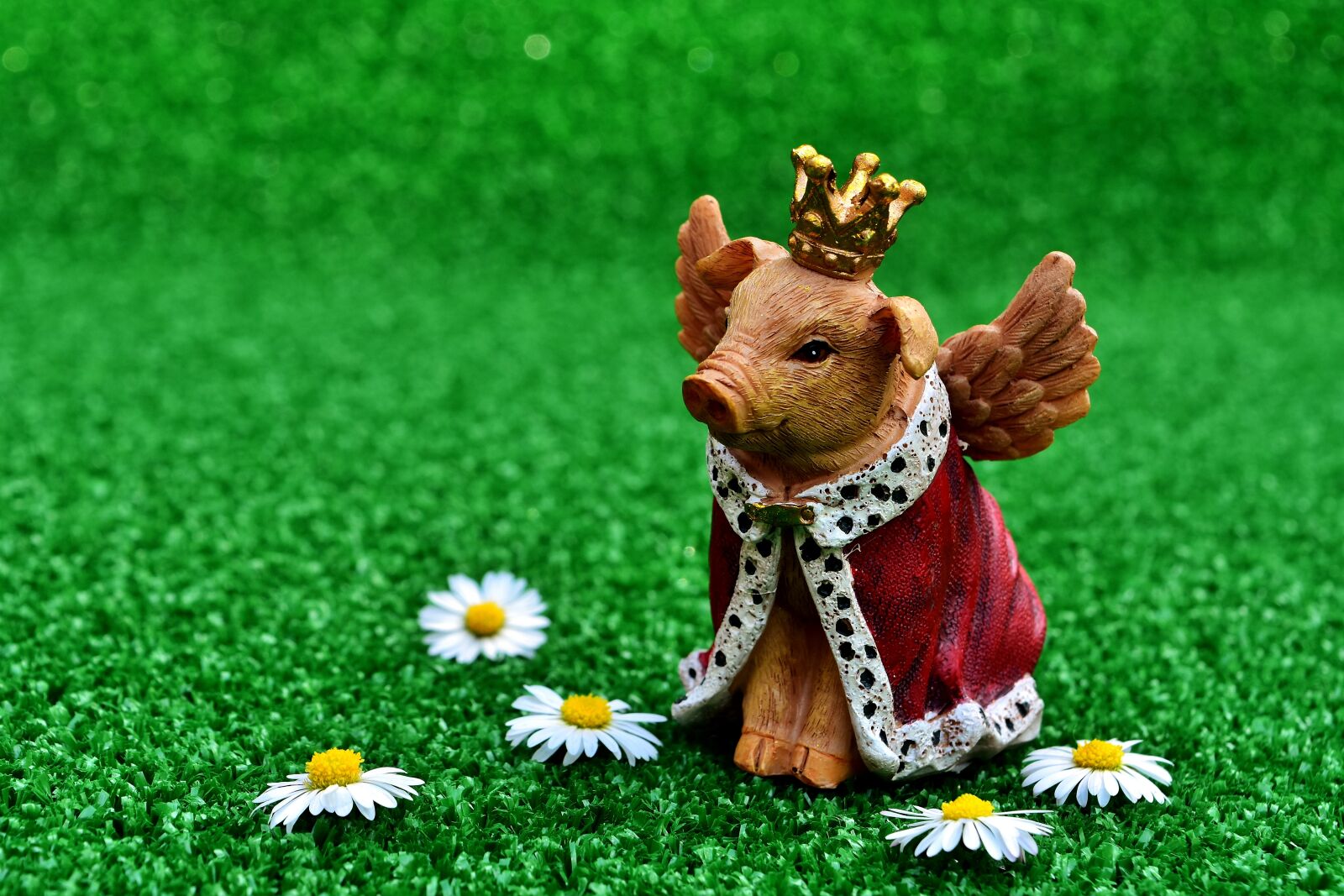 Nikon D7200 sample photo. Guardian angel, piglet, figure photography