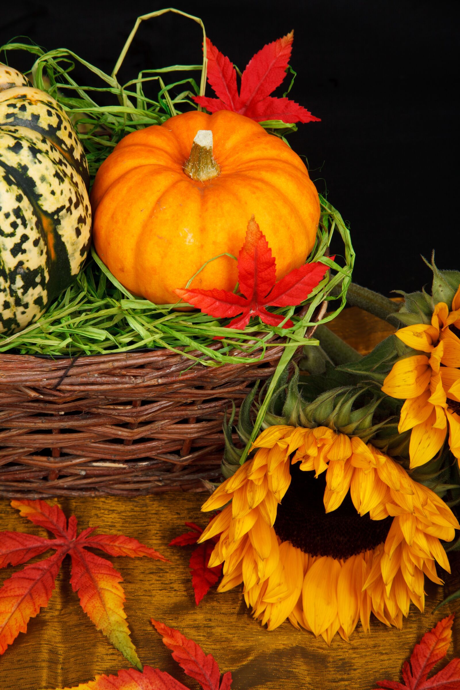 Canon EOS 5D Mark II sample photo. Autumn, basket, color, colorful photography