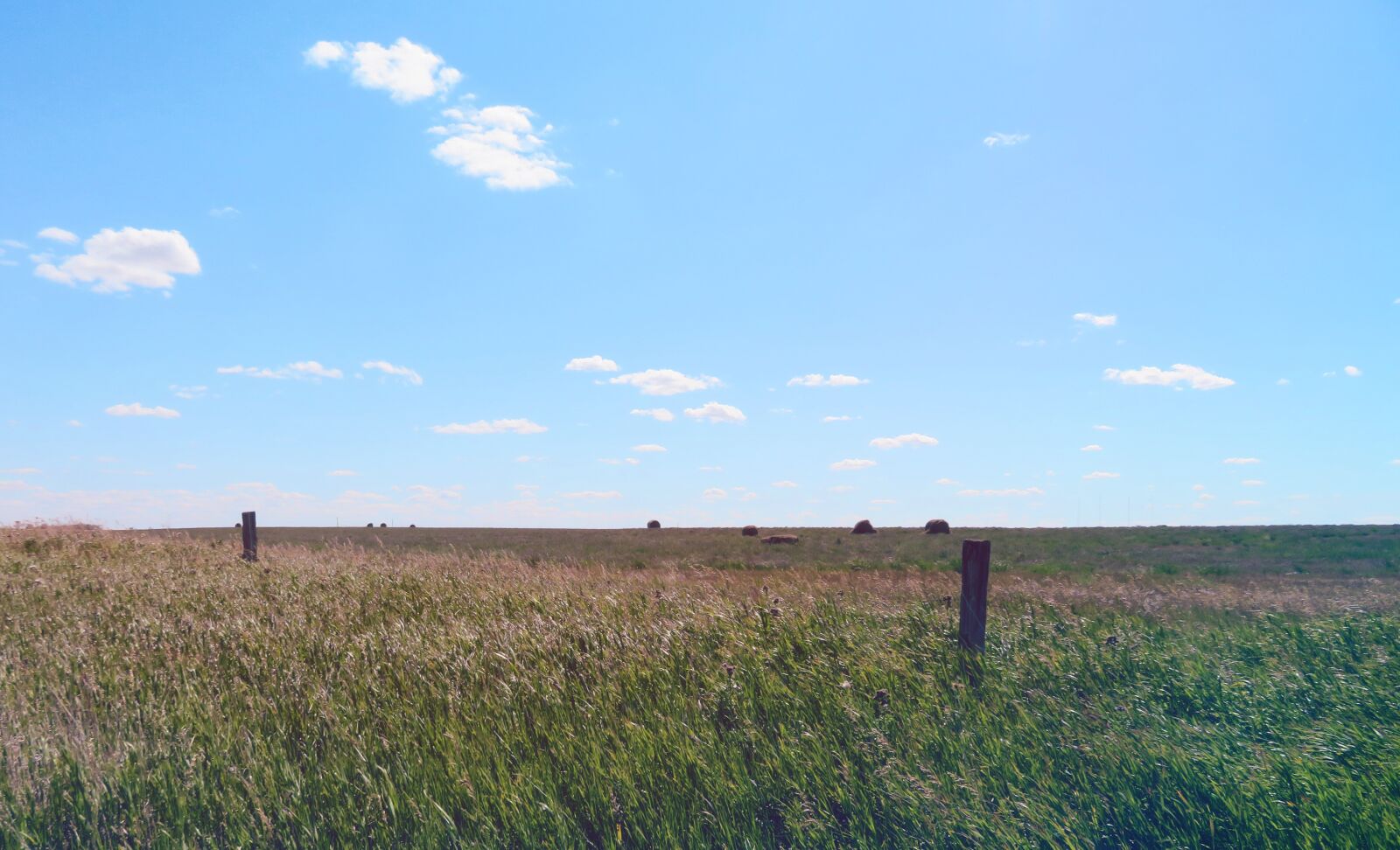 4.3 - 172.0 mm sample photo. Prairie, sky, grass photography