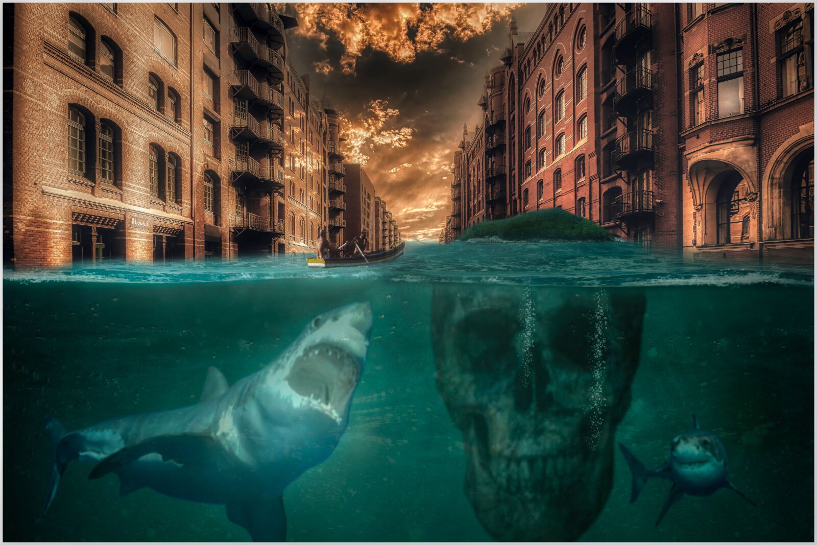 Canon EOS 200D (EOS Rebel SL2 / EOS Kiss X9) sample photo. Hai, water, skull and photography