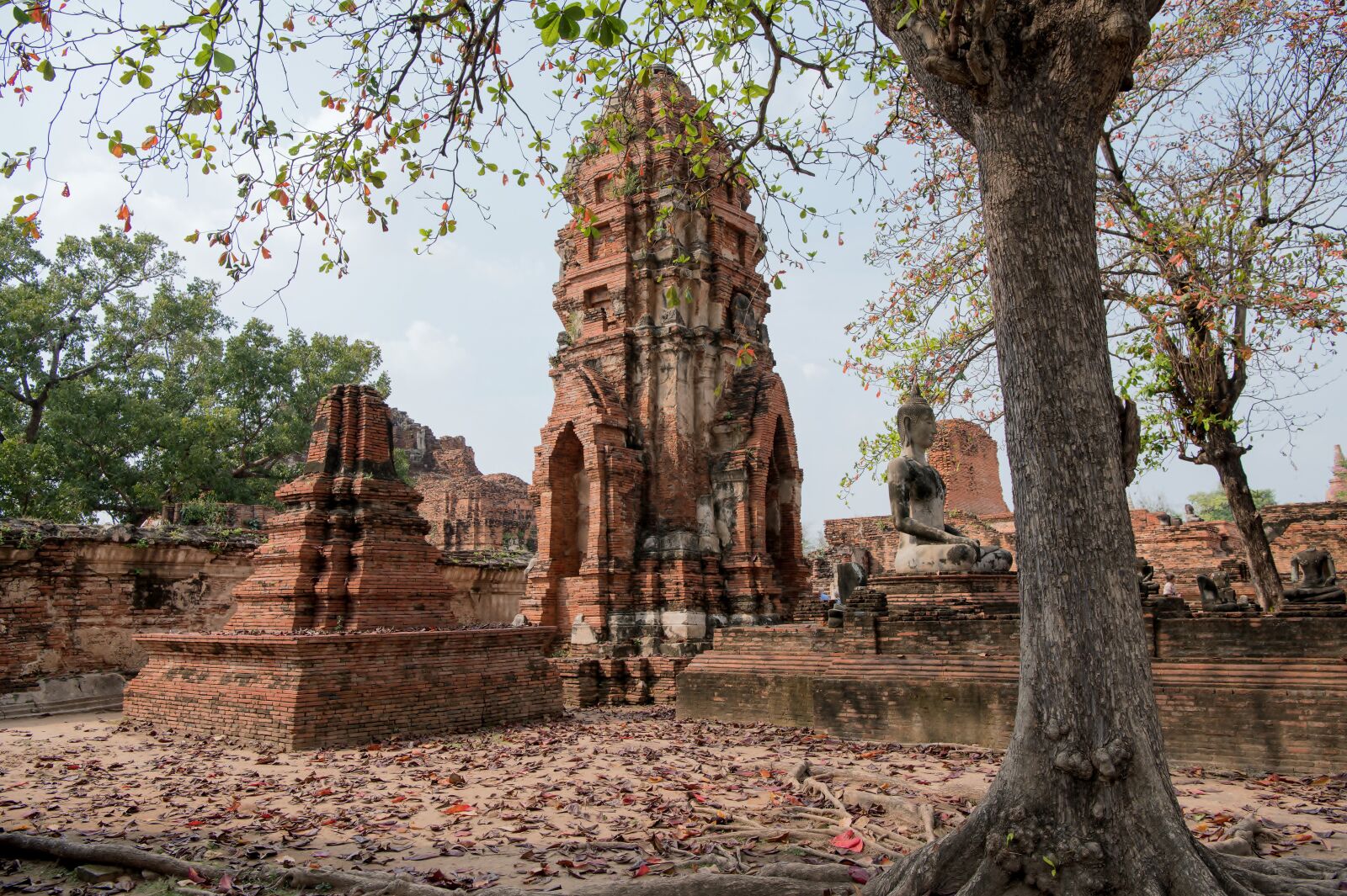 Nikon D850 sample photo. Thailand, ayutthaya, ruins photography