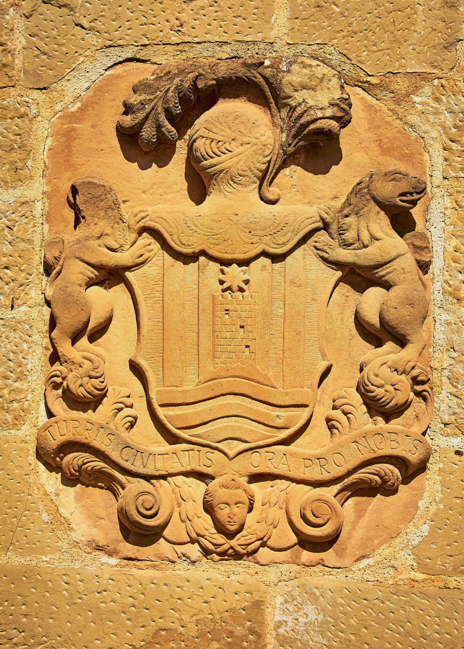Nikon D7200 sample photo. Heraldry, coat of arms photography