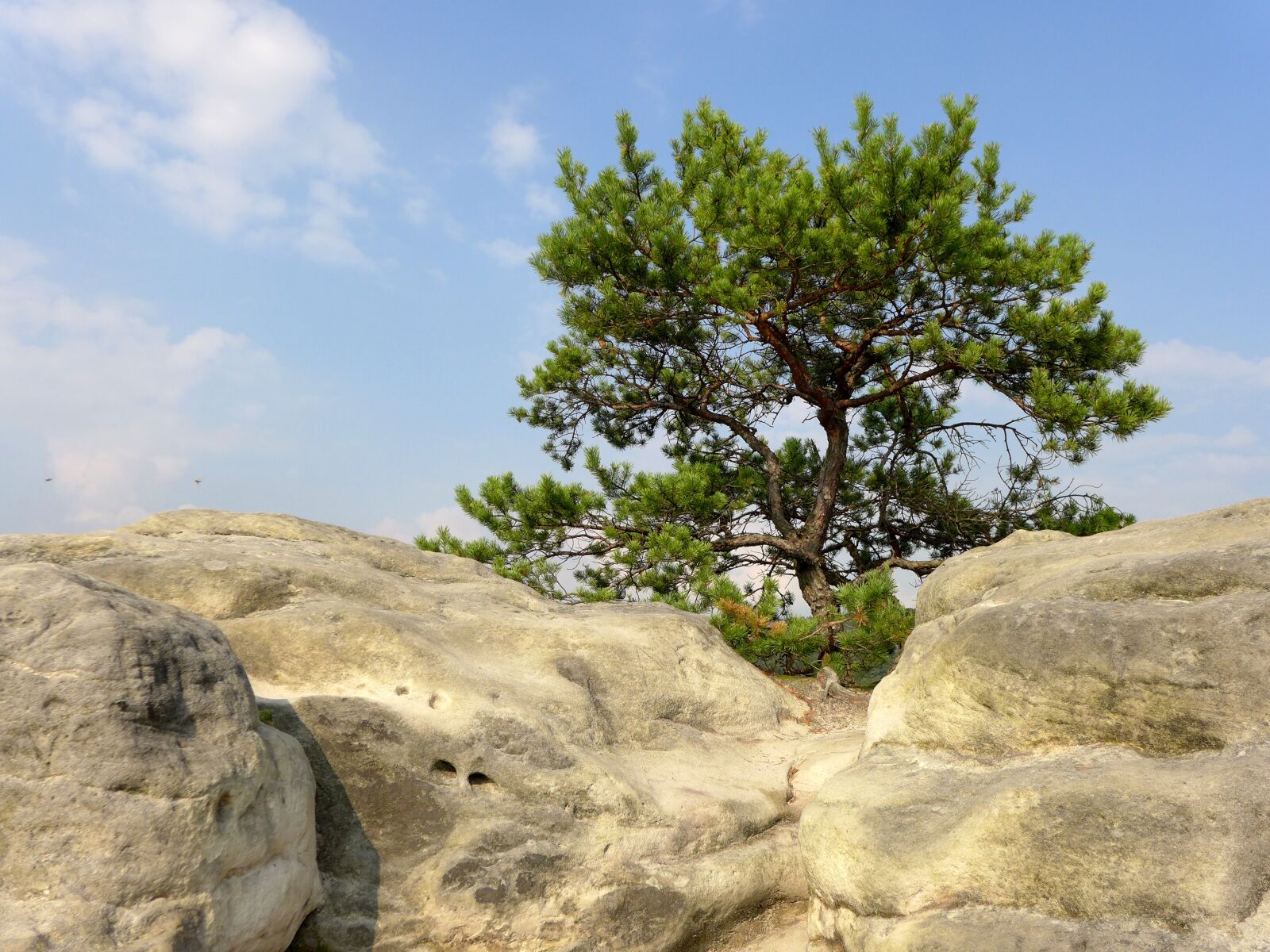 Panasonic Lumix DMC-LX7 sample photo. Rock, cliff, sky photography