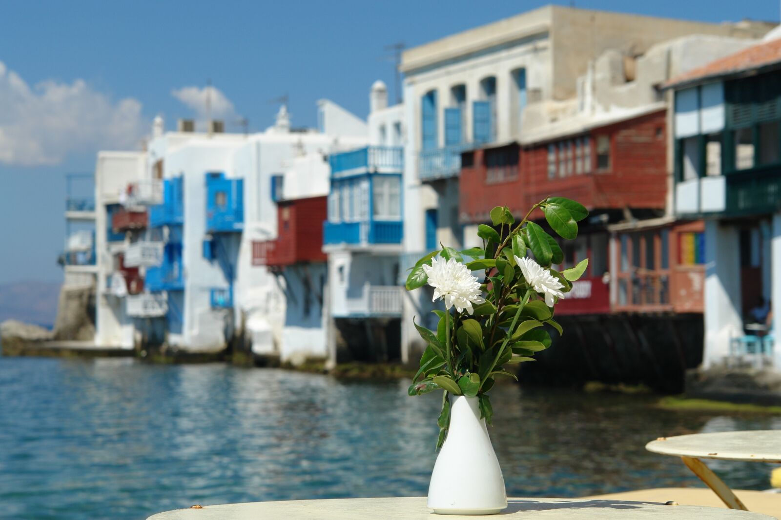 Sony DSC-R1 sample photo. Mykonos, flower, greece photography