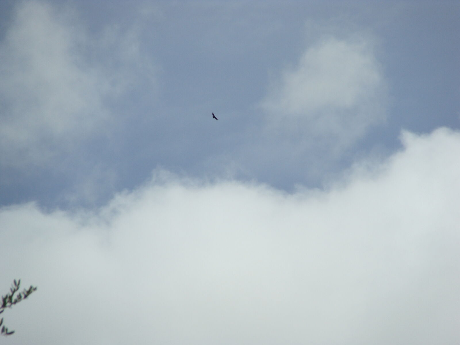 Sony Cyber-shot DSC-H10 sample photo
