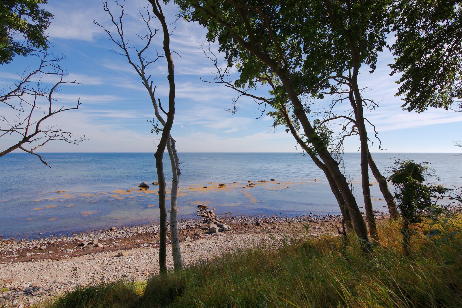 Canon EOS 6D sample photo. Nature, waters, tree photography