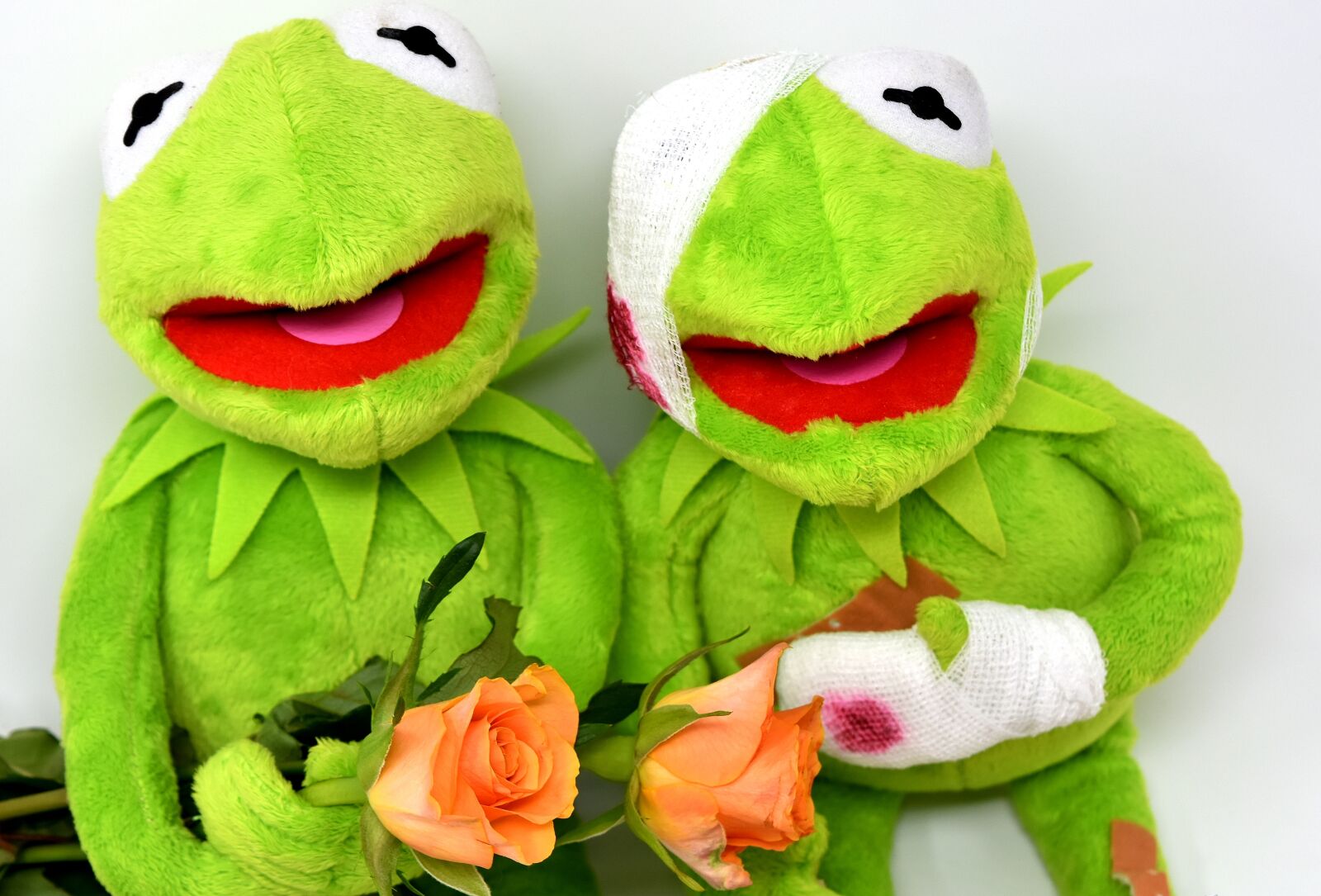 Nikon D7200 sample photo. Kermit, greetings, frog photography
