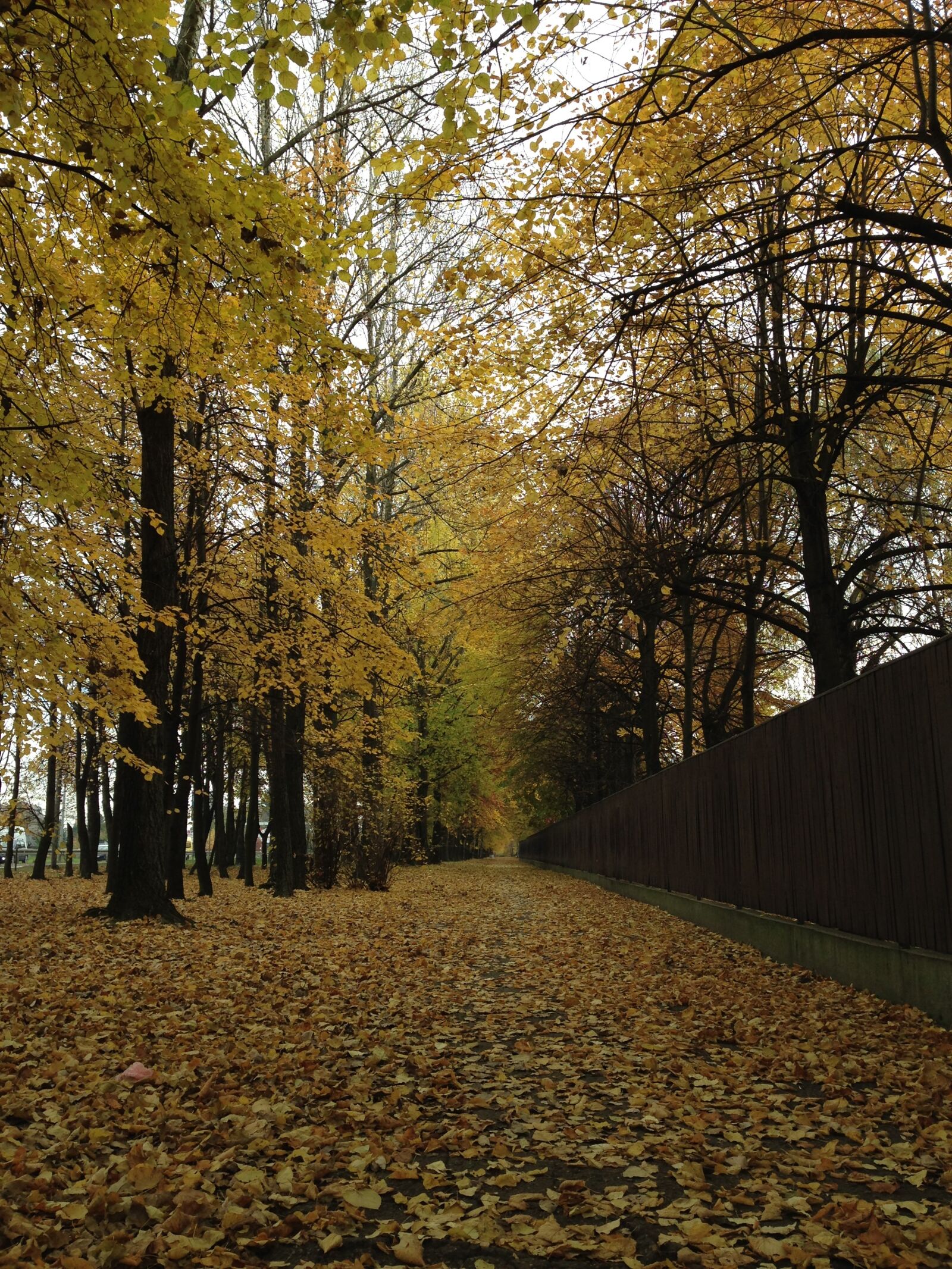 iPhone 5c back camera 4.12mm f/2.4 sample photo. Olkusz, poland, way photography