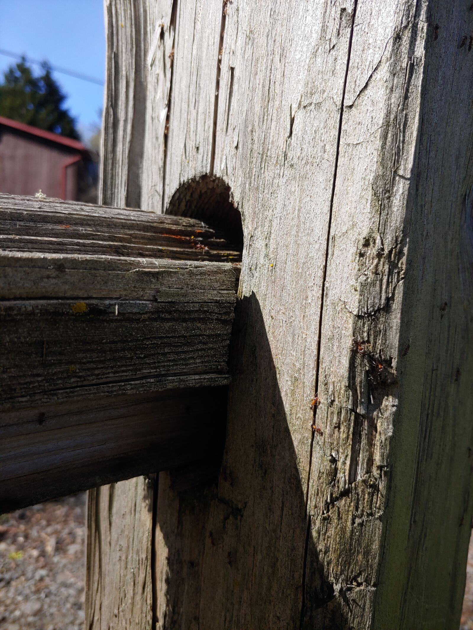 LG G7 THINQ sample photo. Moss, wood, fence photography