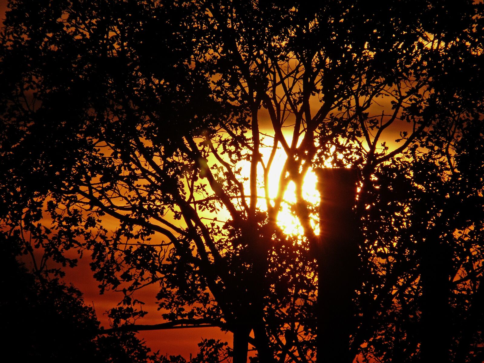 Leica V-LUX 1 sample photo. Solar, sun, solar energy photography
