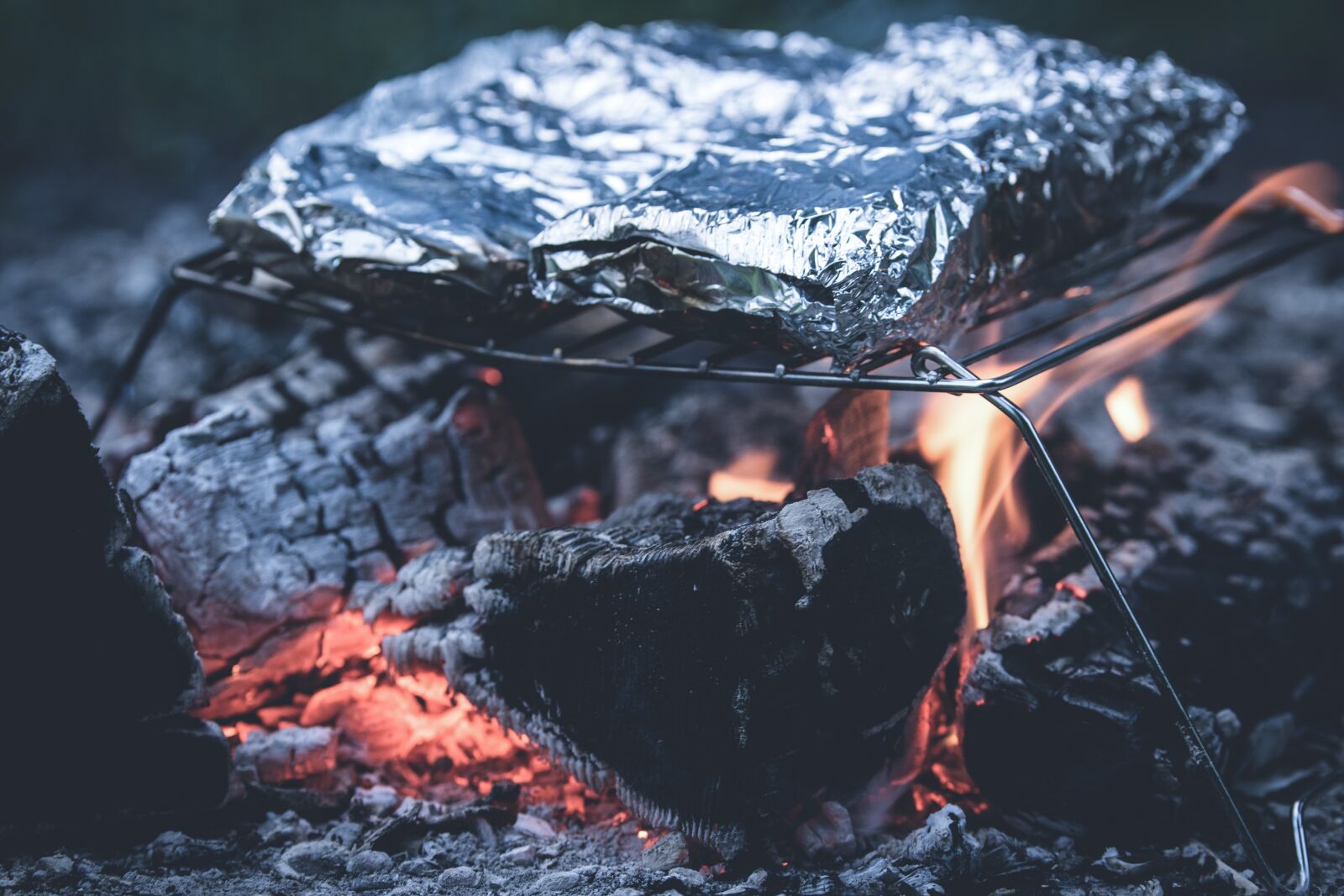 Nikon D5300 sample photo. Grill, aluminum foil, ash photography