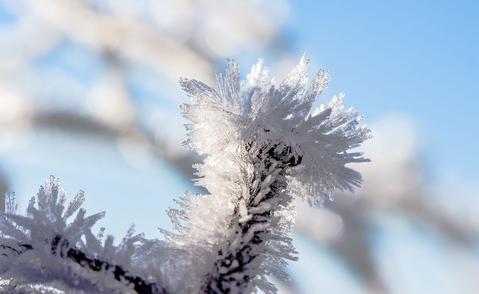Canon EOS 650D (EOS Rebel T4i / EOS Kiss X6i) sample photo. Eiskristalle, frost, frozen photography