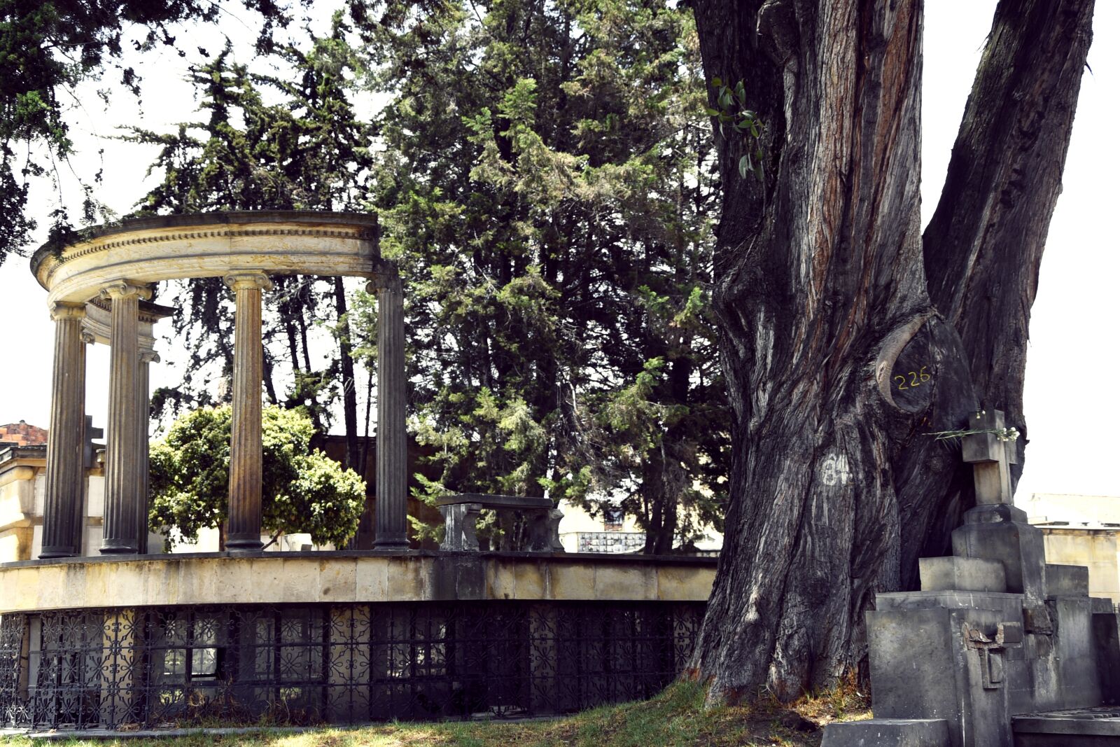 Nikon D750 sample photo. Cemetery, bogotá, death photography