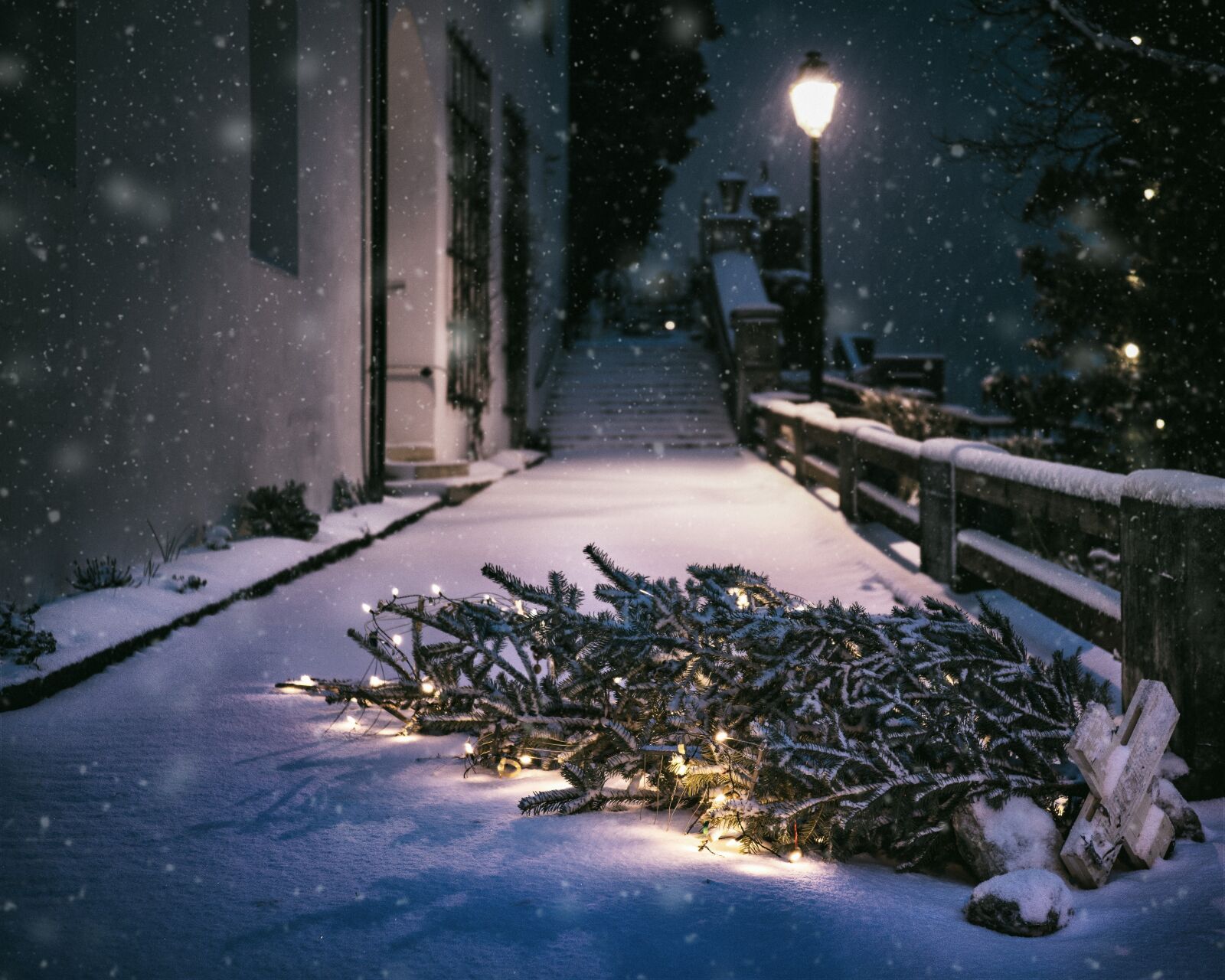 OLYMPUS M.25mm F1.2 sample photo. Christmas, snow, night photography