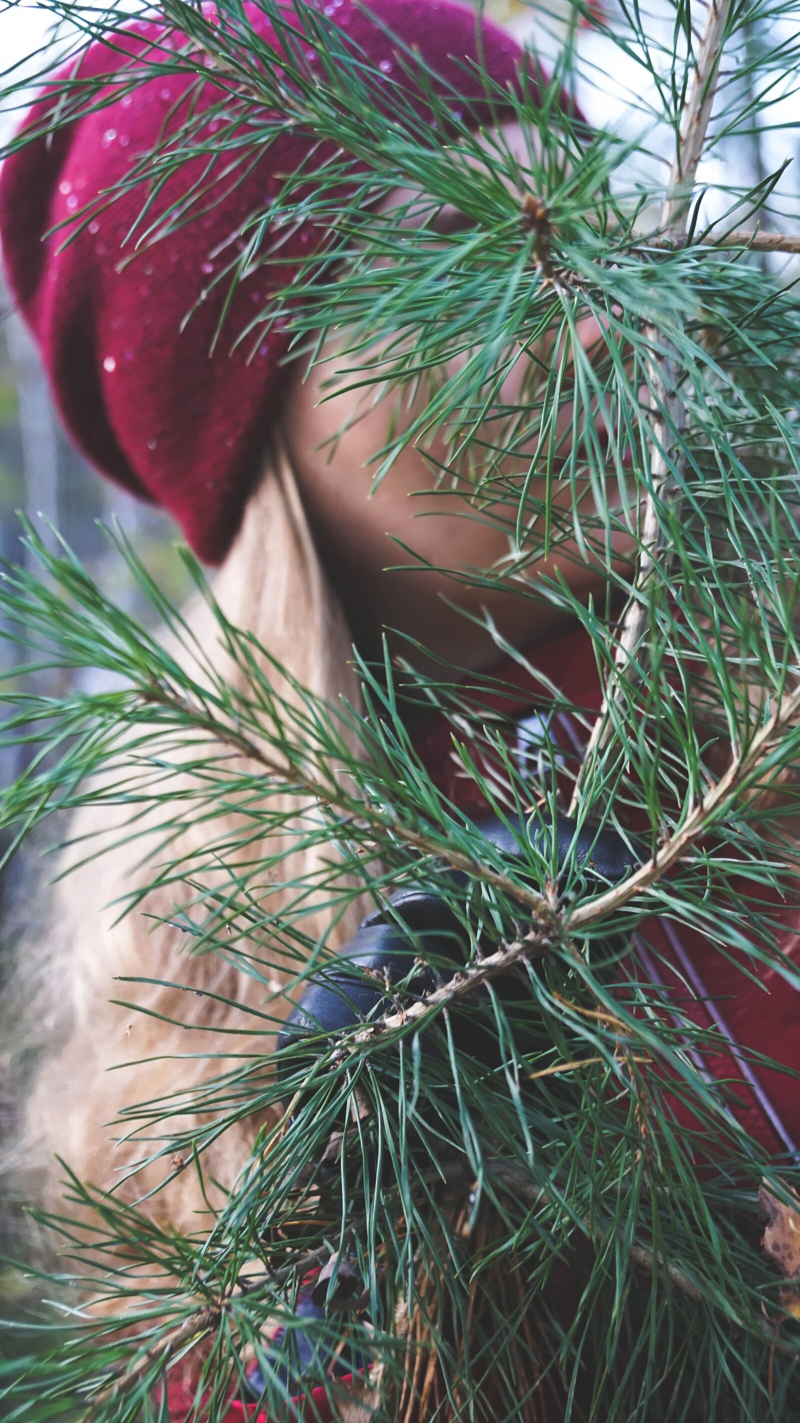 Sony a6000 + Sony Vario-Tessar T* E 16-70mm F4 ZA OSS sample photo. Girl, branch, spruce photography
