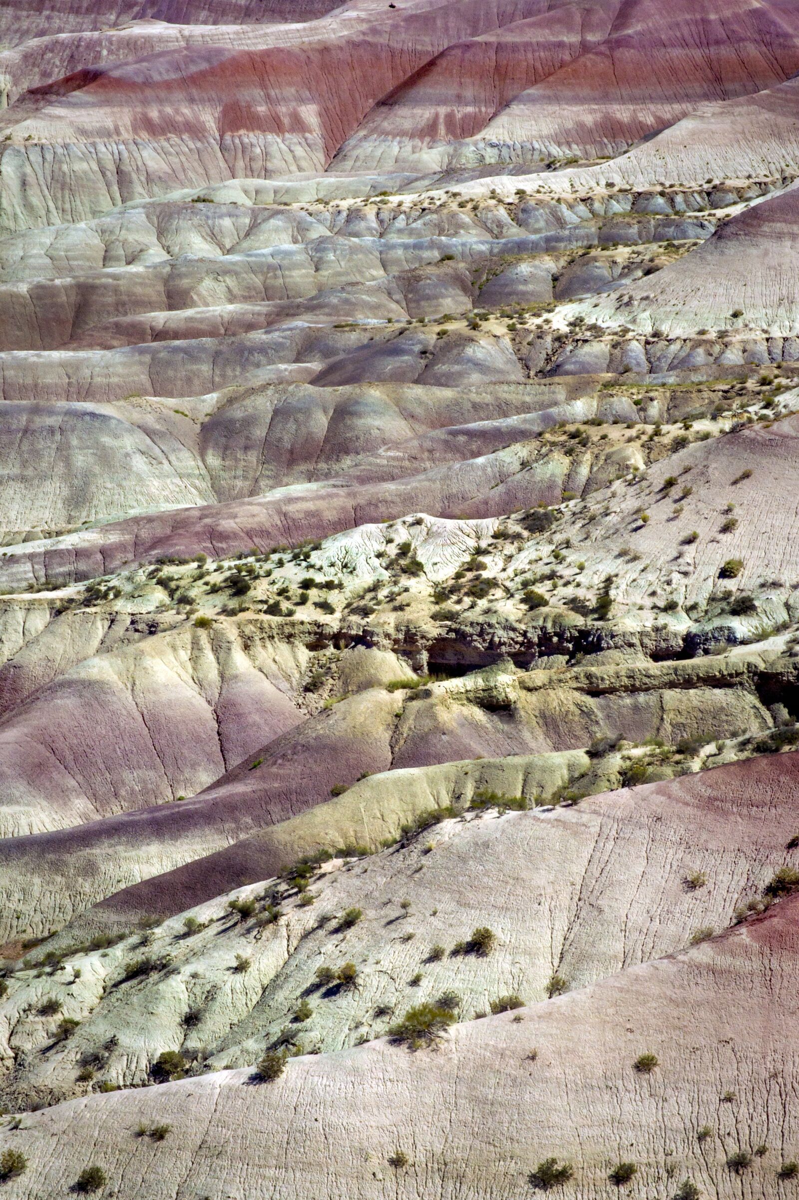 Nikon D4 sample photo. Painted, desert, arizona photography