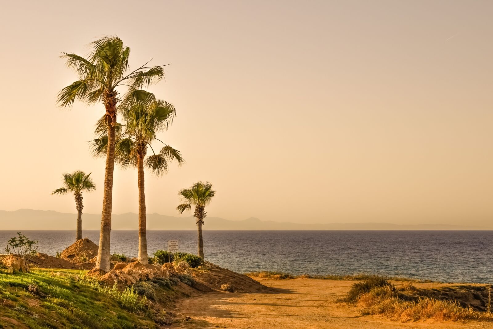 Nikon D3300 sample photo. Palm trees, sea, horizon photography