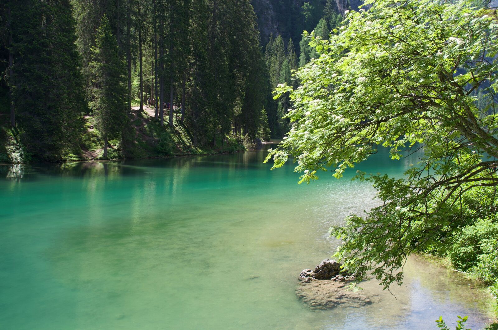 Nikon D5000 sample photo. Weißensee, austria, carinthia photography