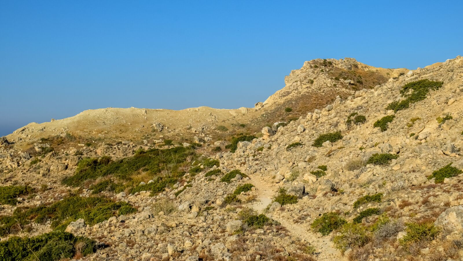 Nikon D3300 sample photo. Path, wilderness, landscape photography