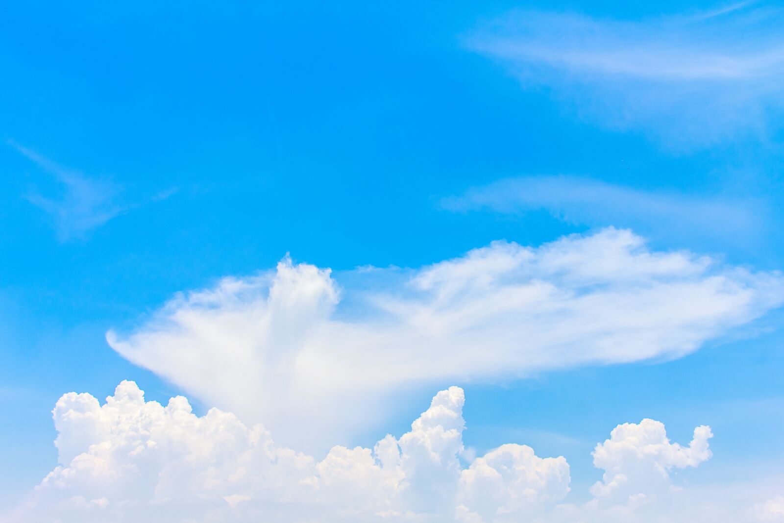 Canon EOS 60D sample photo. Sky, background, nature photography