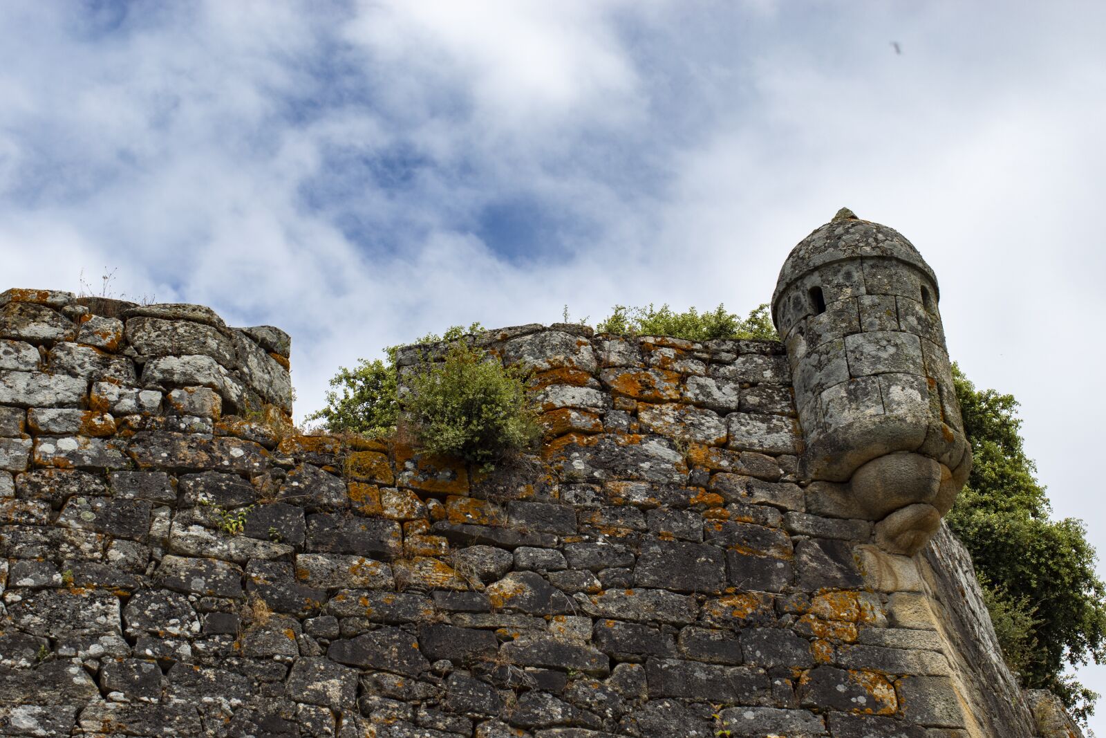 Nikon D5300 sample photo. Verin, galicia, defense photography